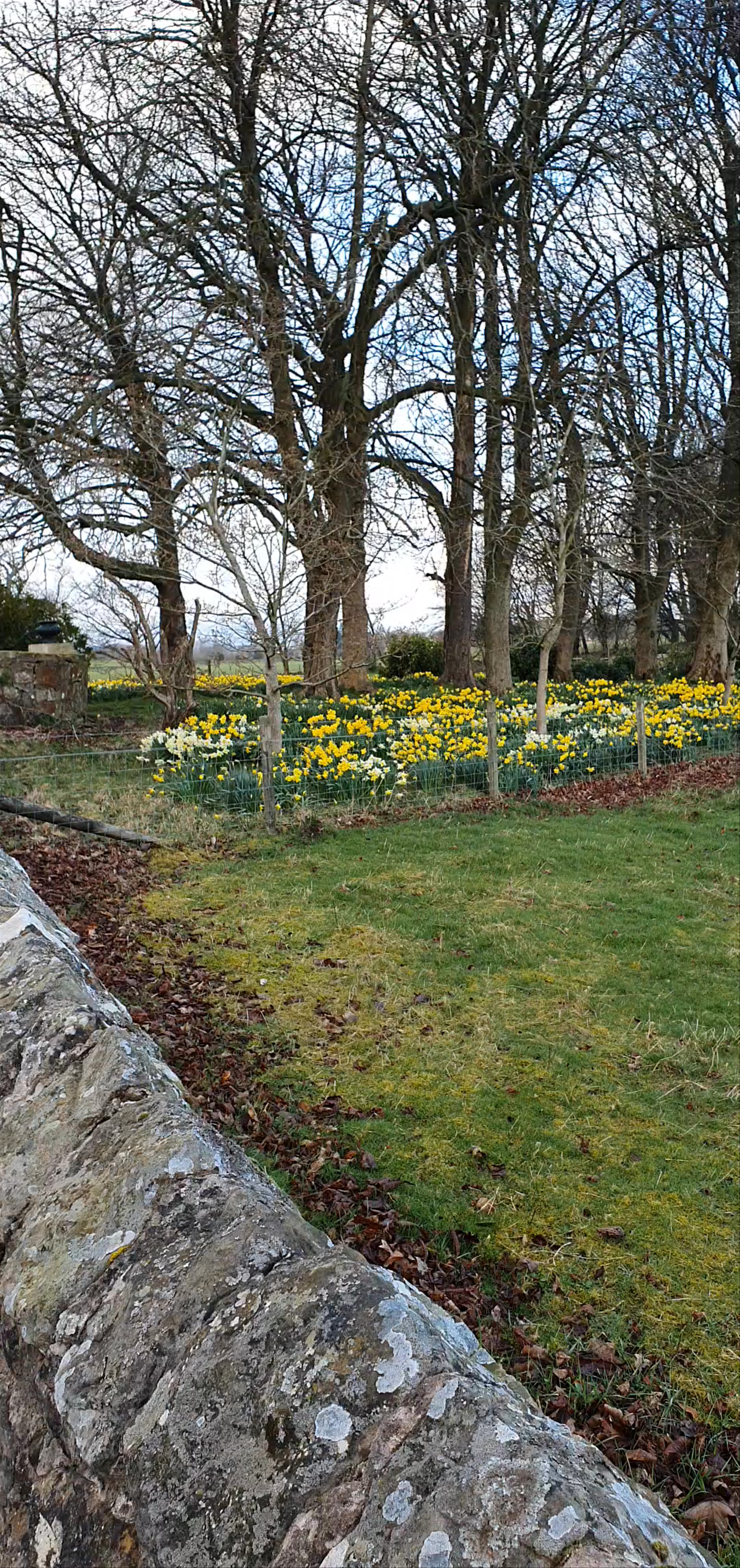 Cleish Village Hall: Peaceful Countryside Walk in Kinross, Scotland