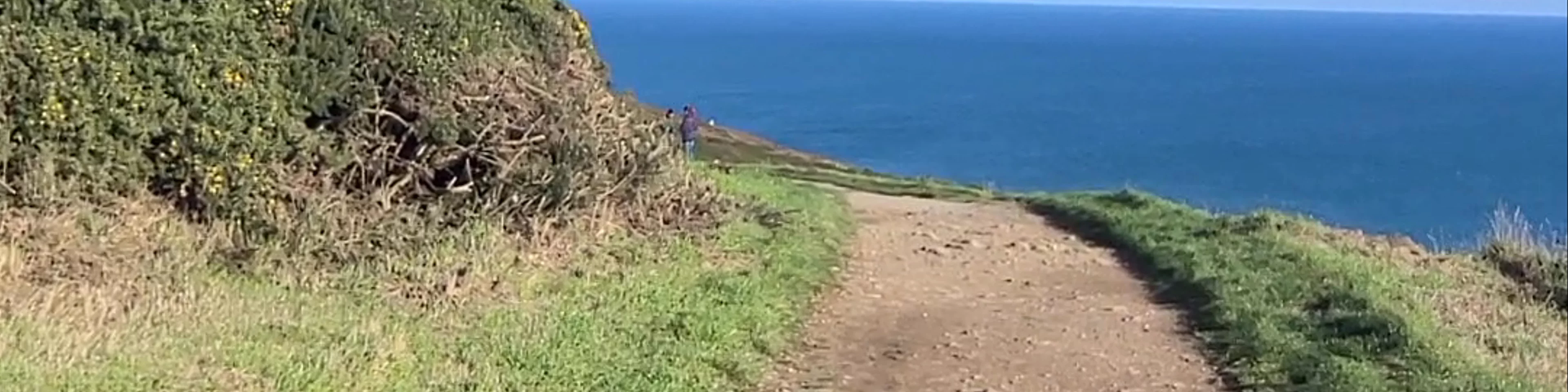 Howth Cliff Walk (Green Route)