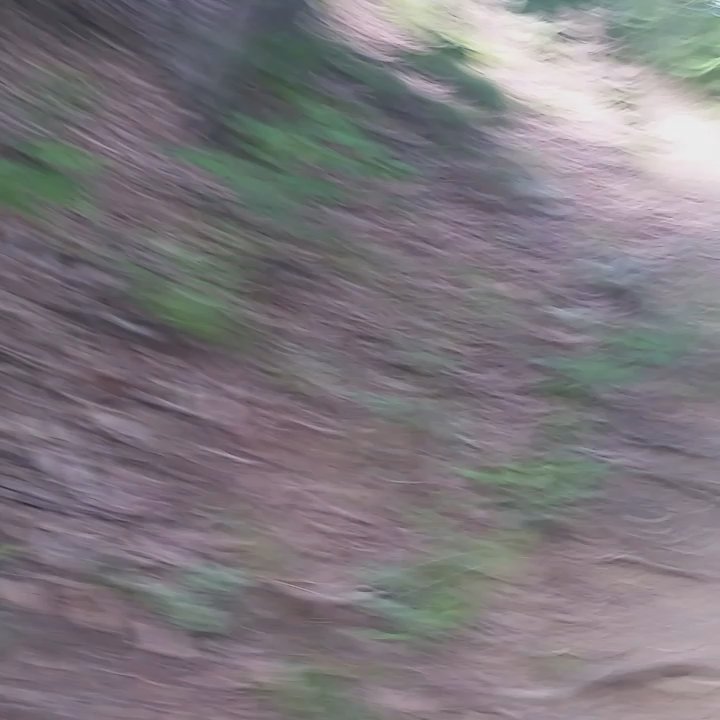 Buzzard Rock North Trail - Hiking Near Me - Front Royal, Virginia