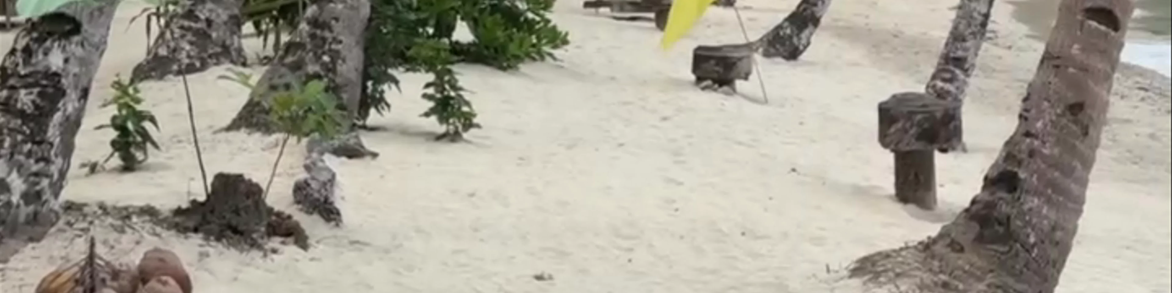 Coconut Beach