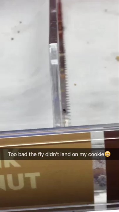 Baskin-Robbins - Must be soo hard to work there so they hired a fly - Ice Cream & Frozen Yogurt Near Me - San Fernando, California