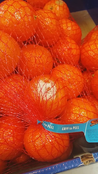 H-E-B - Free penicillin - Grocery Near Me - Spring, Texas