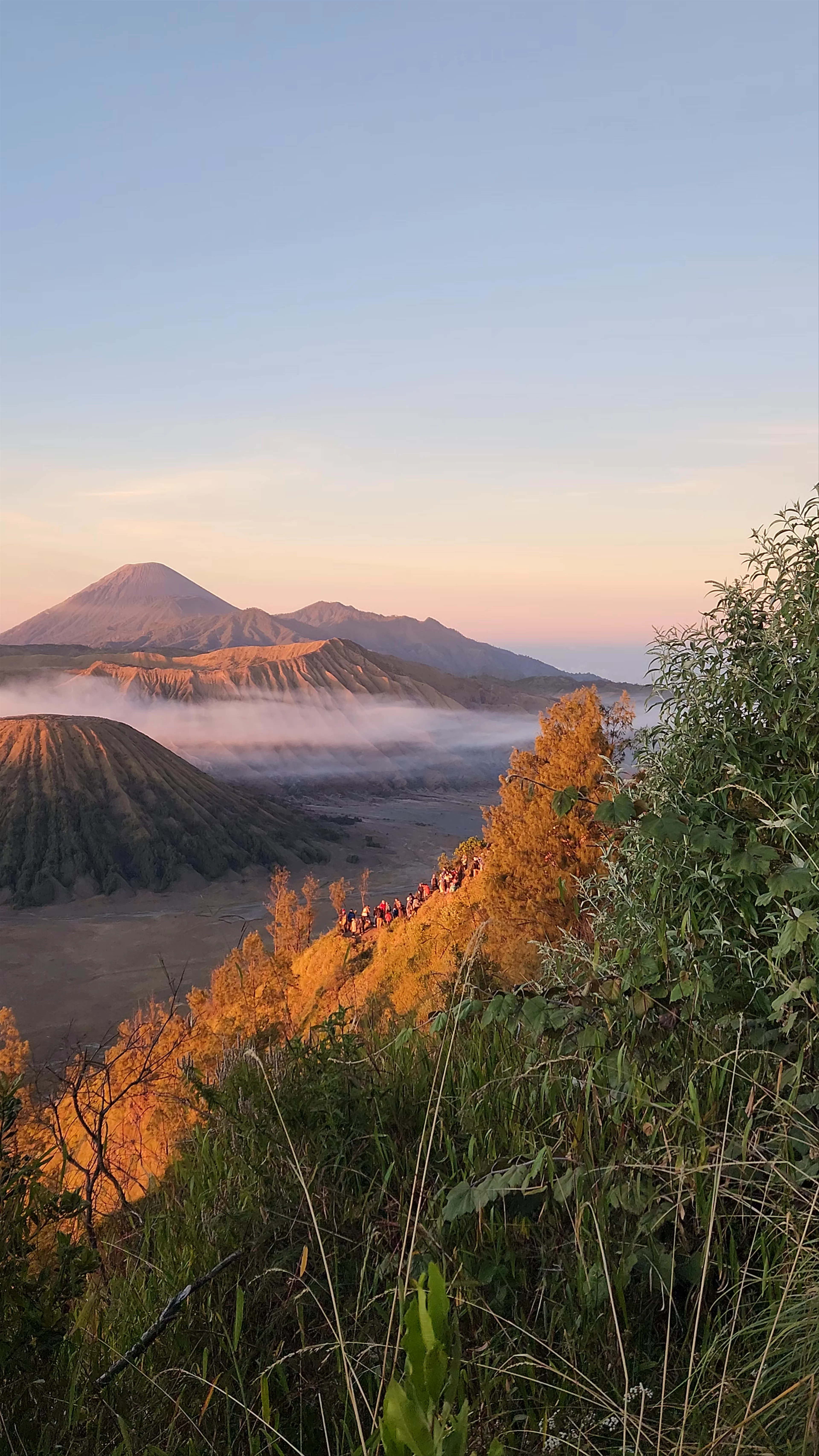 Bromo, Area Gunung Bromo, Podokoyo, Pasuruan Regency, East Java, Indonesia
