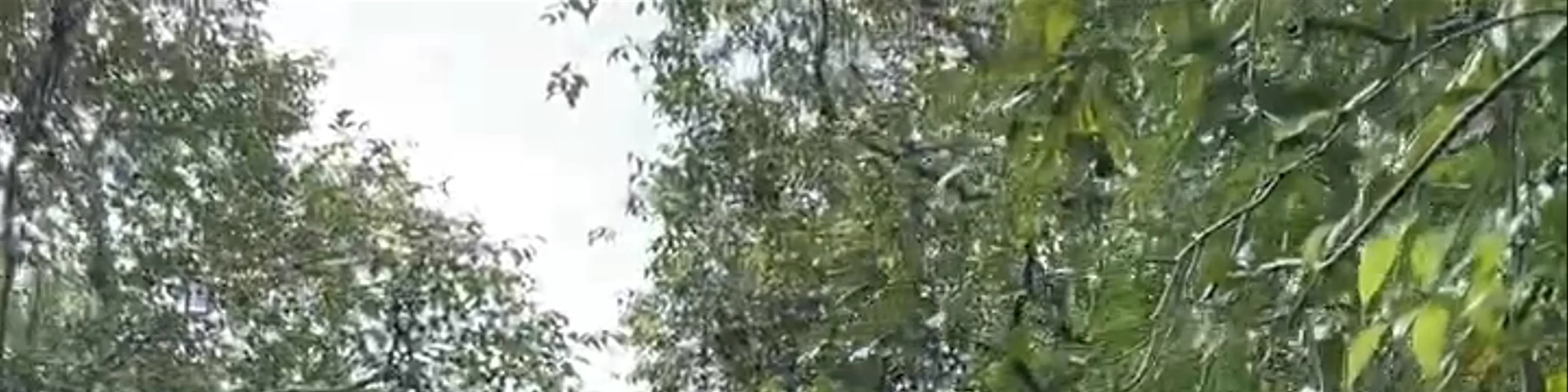 Pondok Tanggui