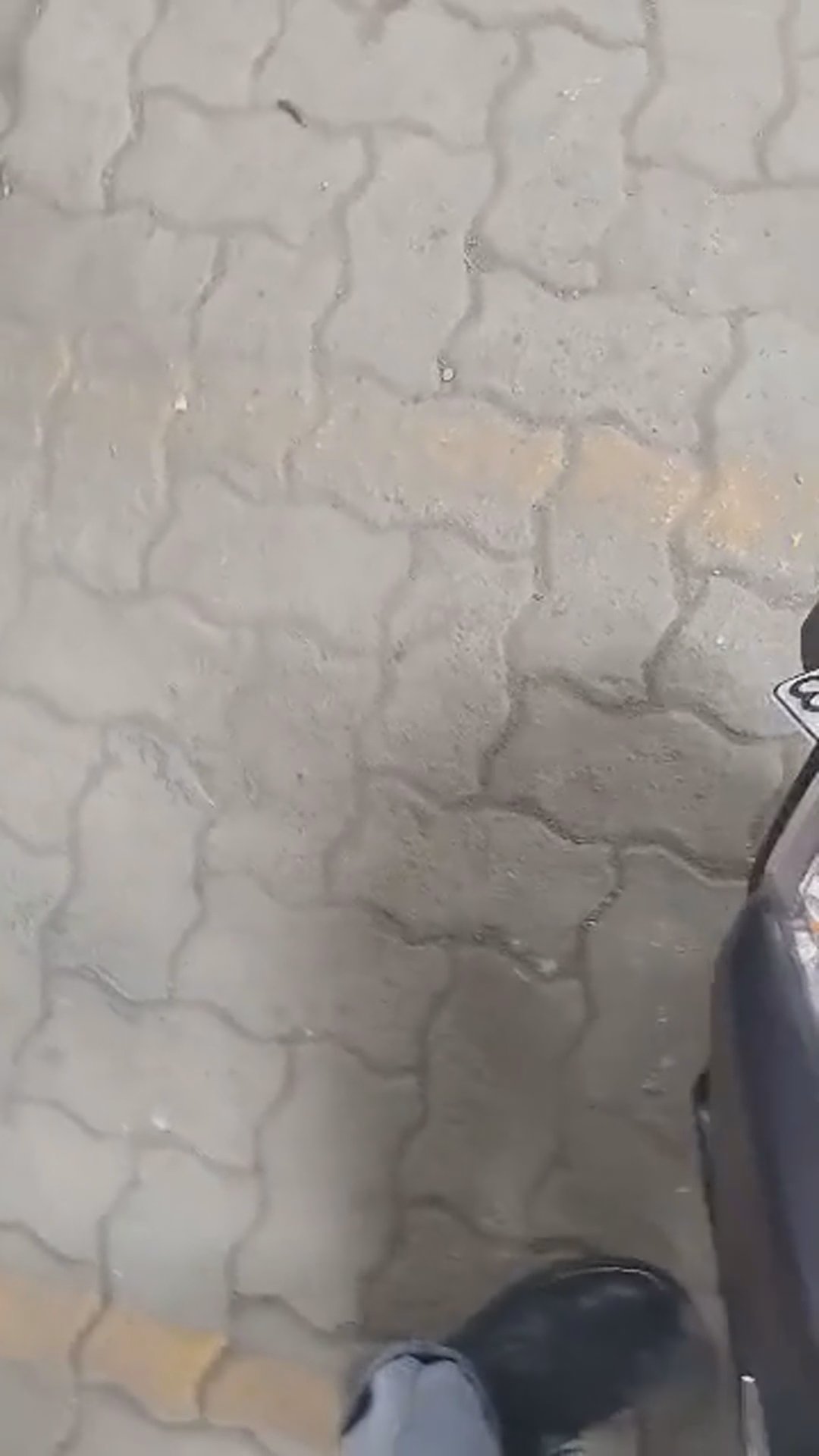 Walk-around video thumbnail