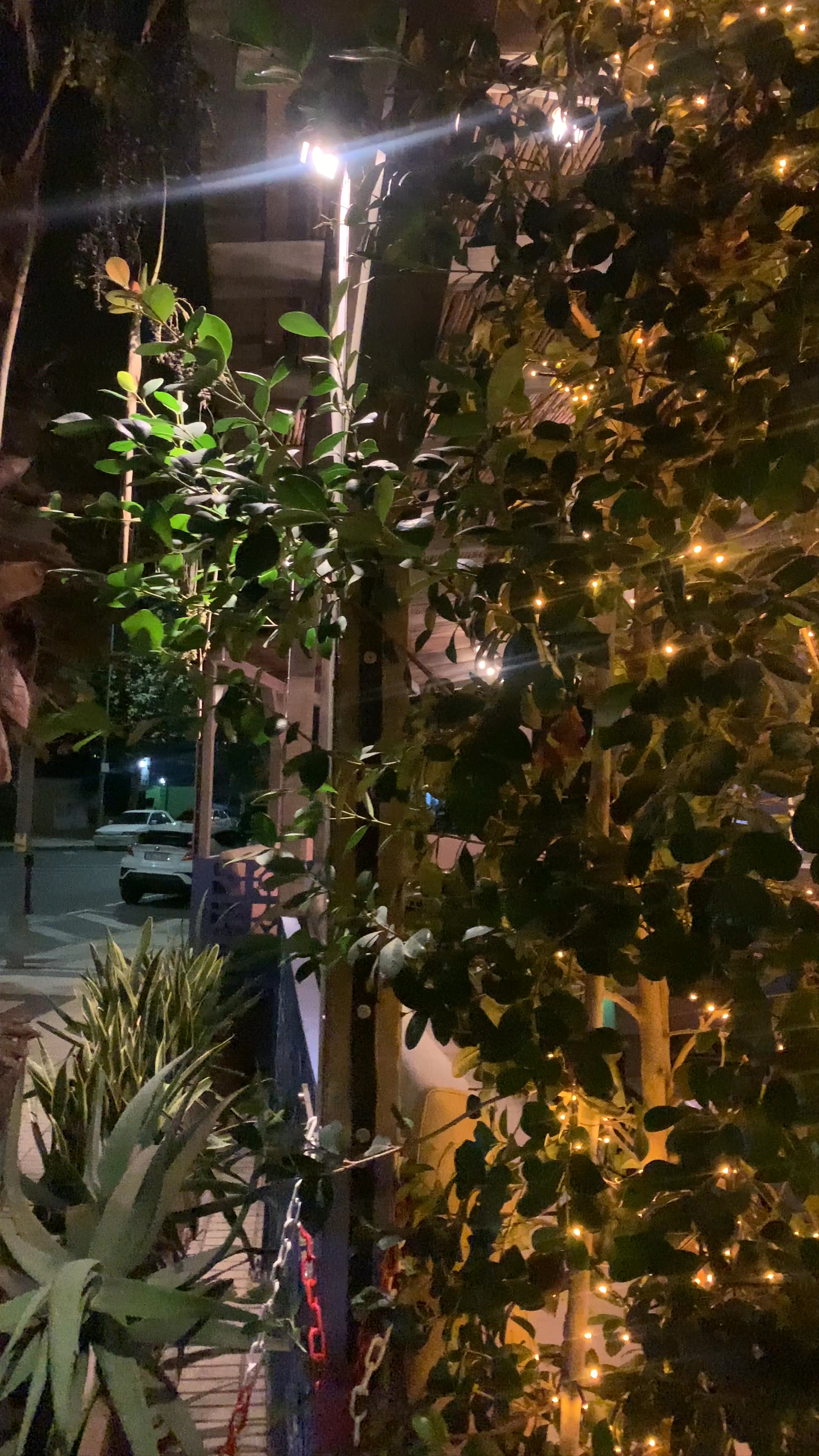 Plaza México