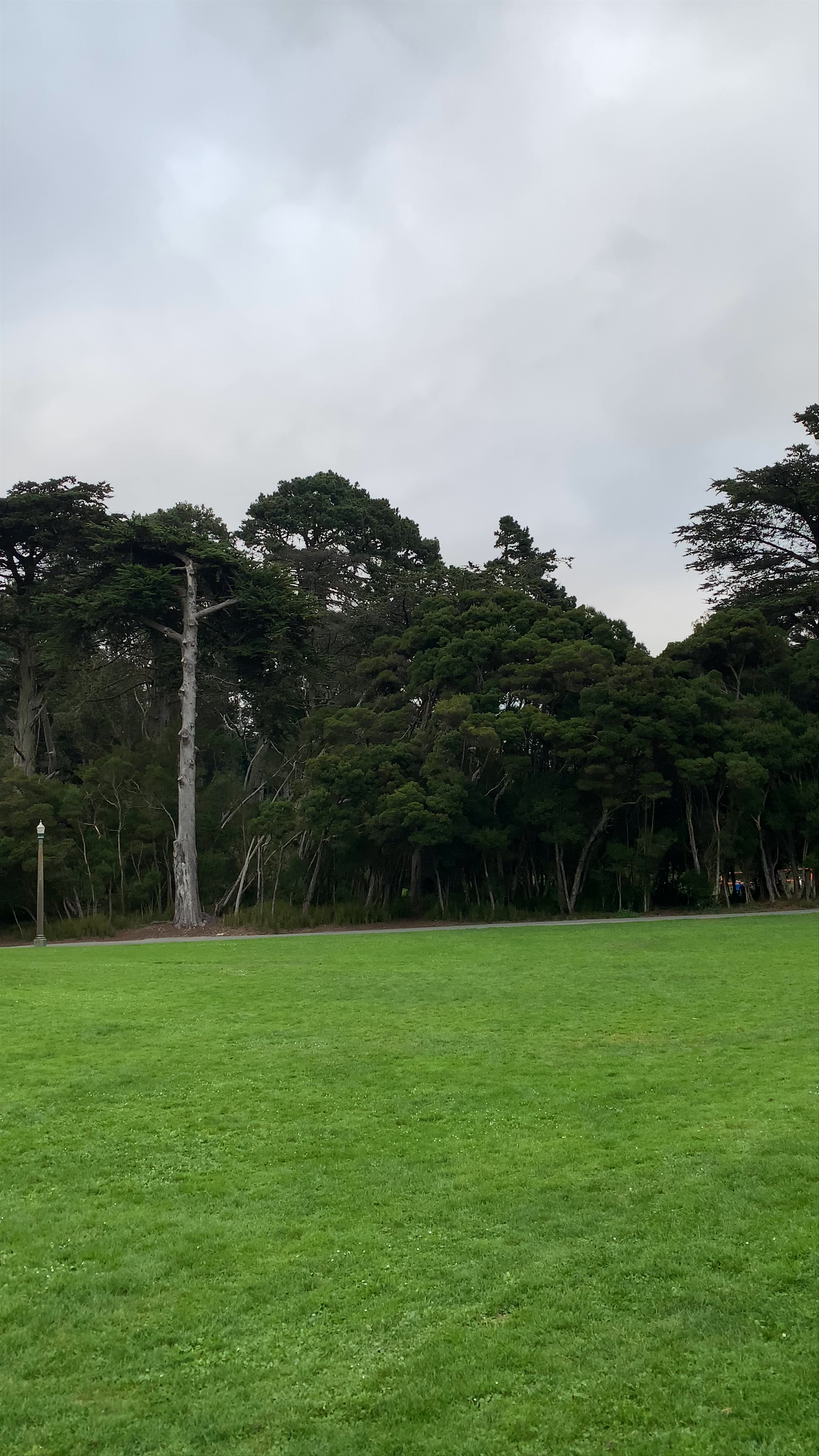 Russian Hill Park