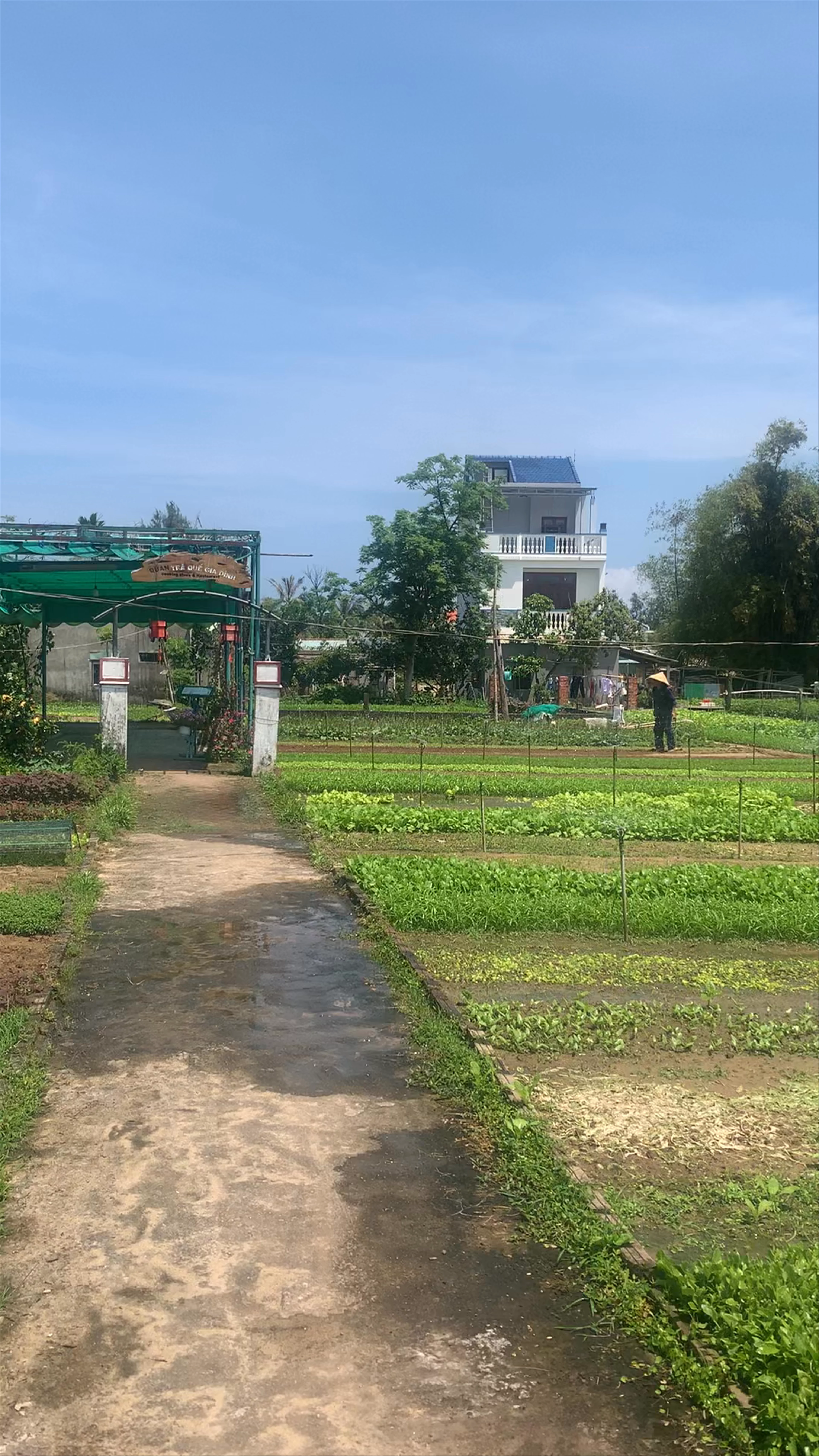 Tra Que Vegetable Village