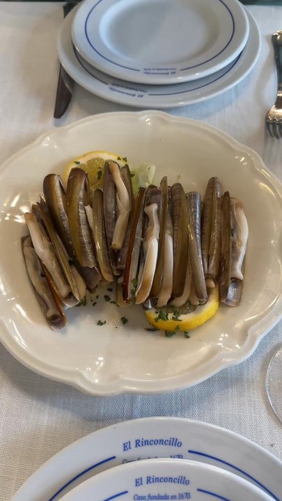 El Rinconcillo - Razor clams were our favorite. - Spanish Near Me - Seville, SE