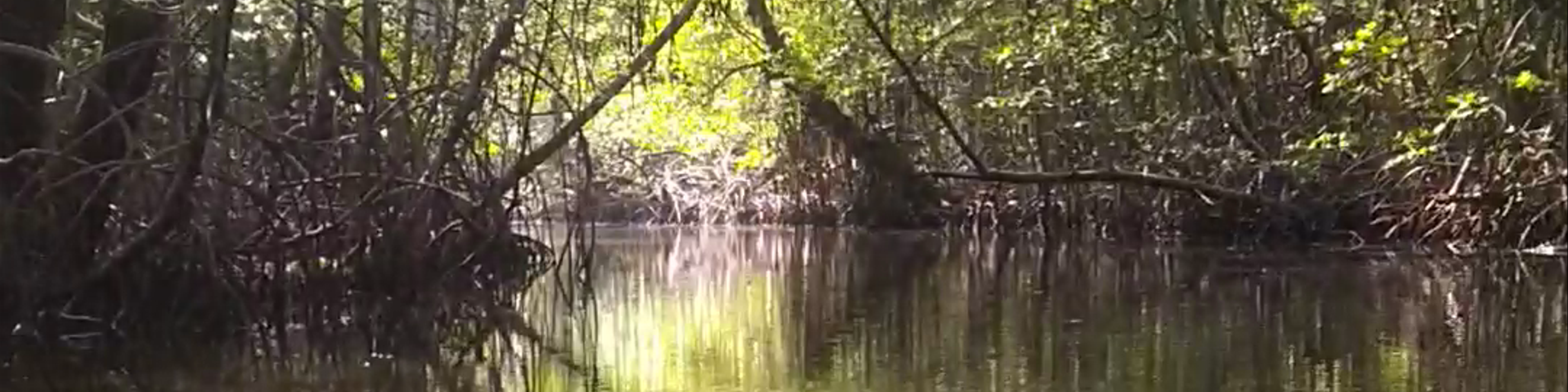 Isla Bastimentos