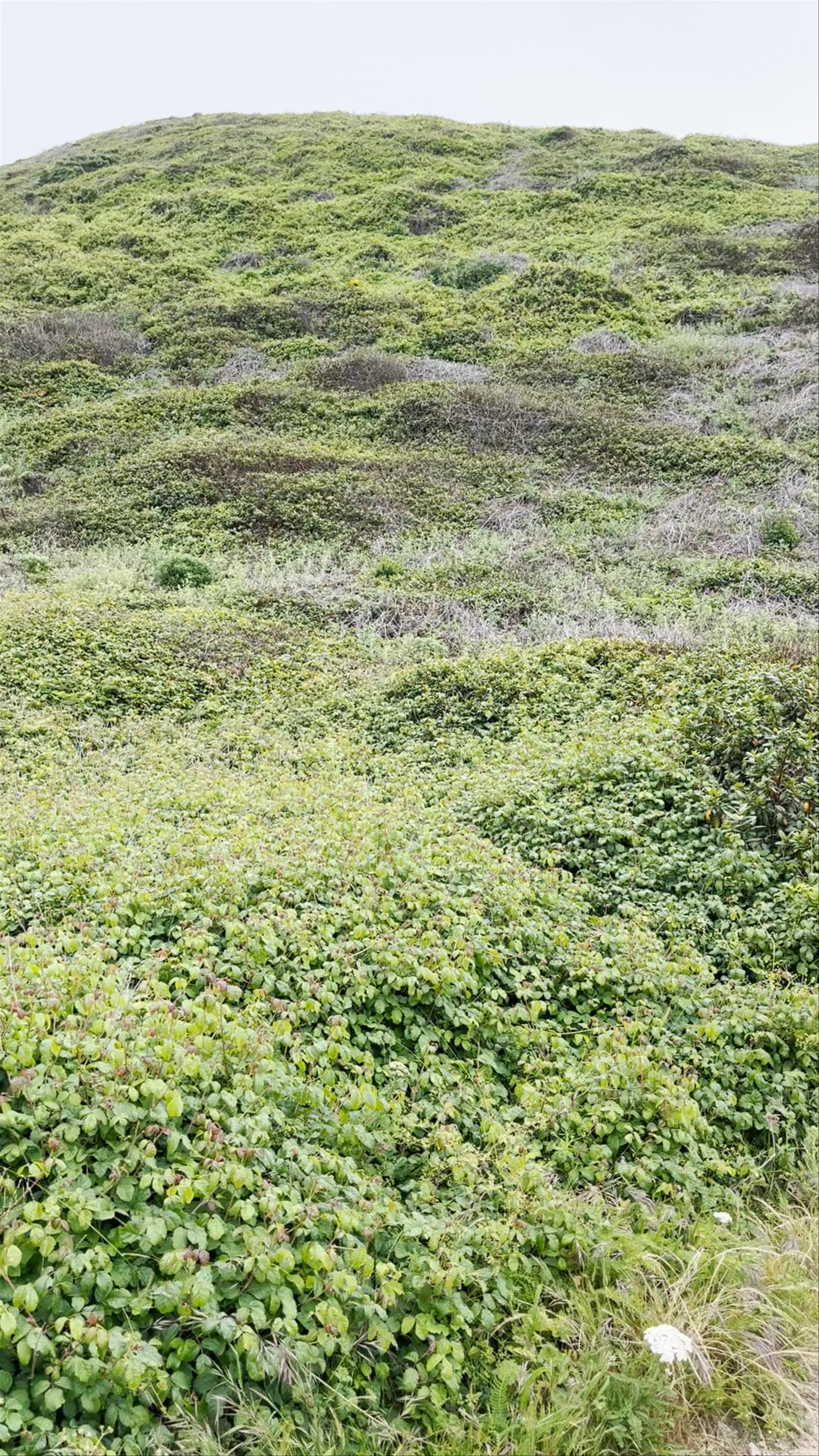 Monterey Bay Kayaks, California 1, Moss Landing