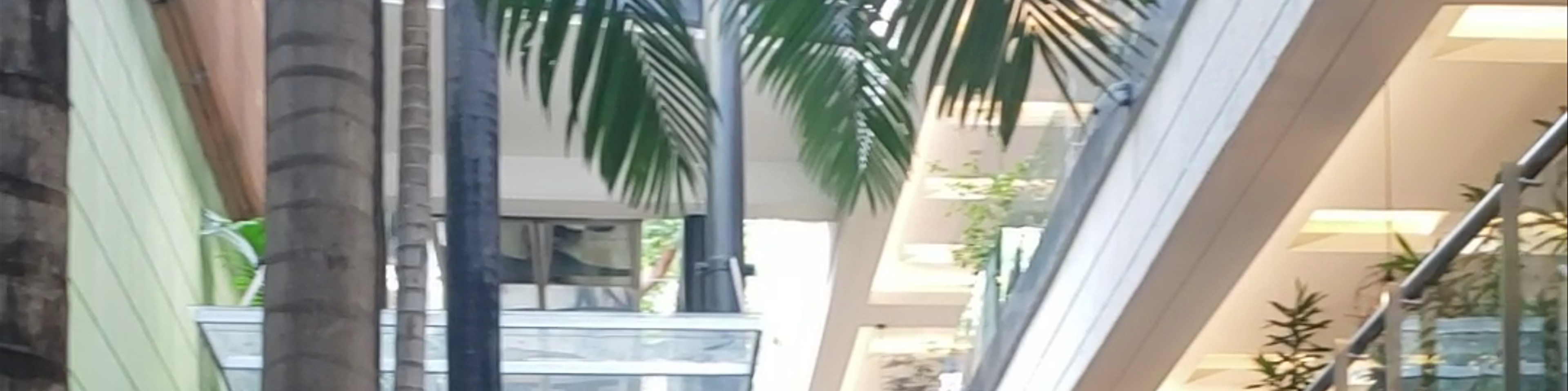 Medellín