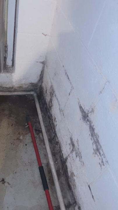 McDonnell Property Management - Mold in basement from water & sewage backup all the time. Which makes water heater go out. - Property Management Near Me - Davenport, Iowa