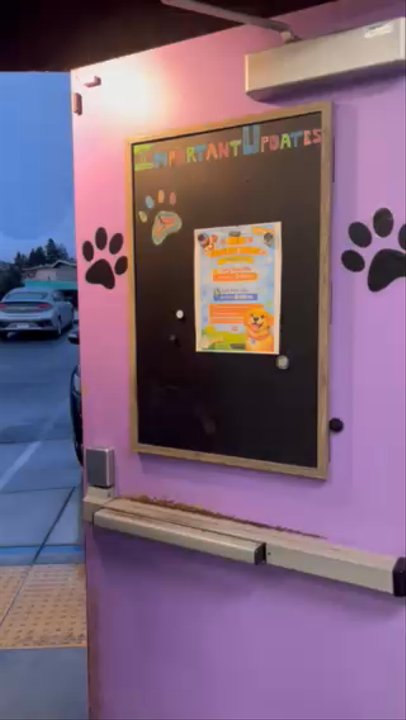 Dog Time! - Herkules Pick Up!  Plus the amazing Roxanna! - Pet Boarding Near Me - San Leandro, California