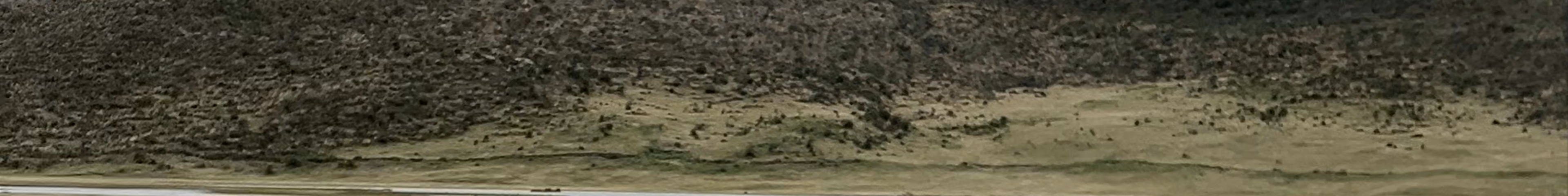 Tours & experiences in Machachi