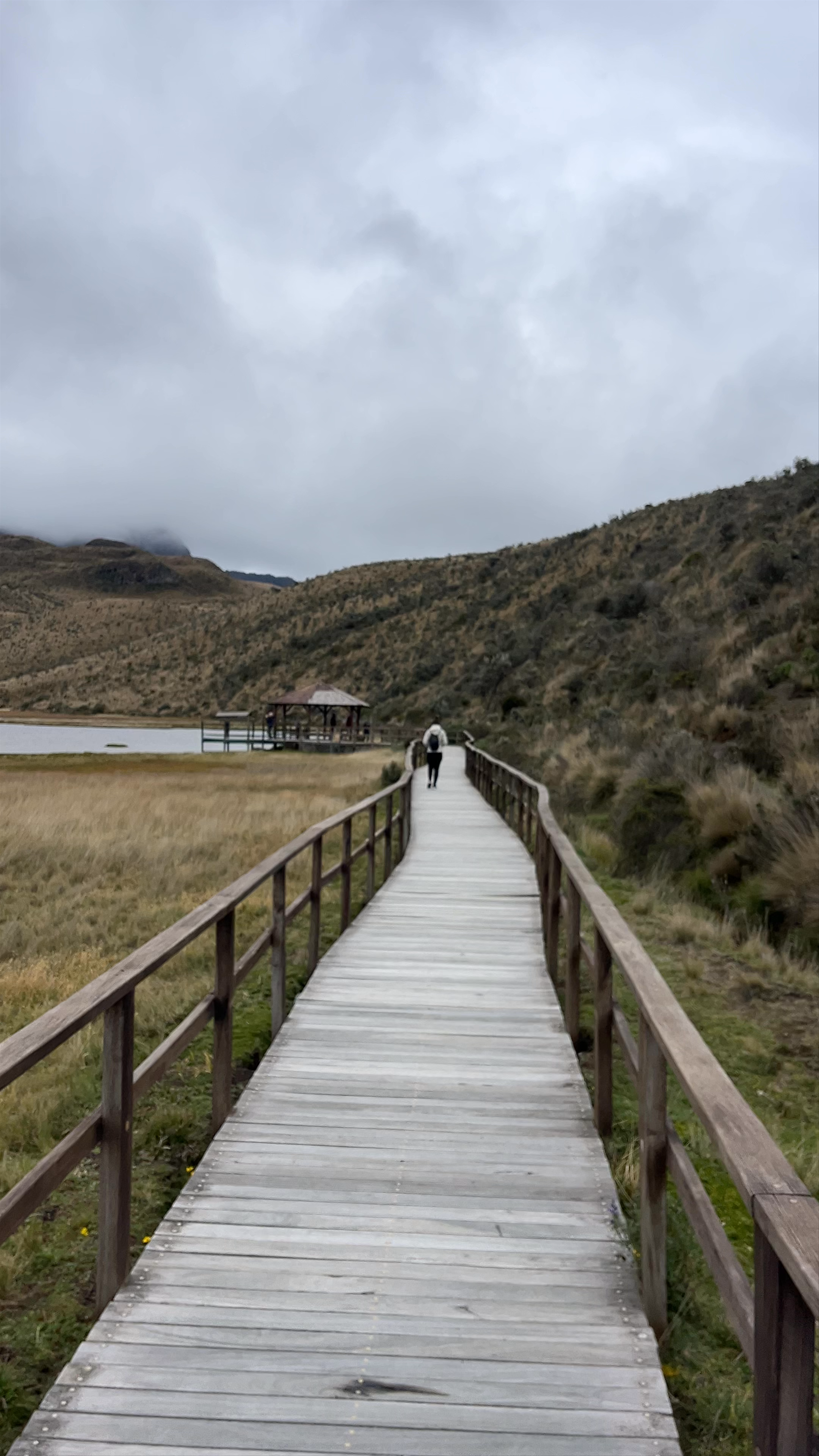 Laguna de Limpiopung
