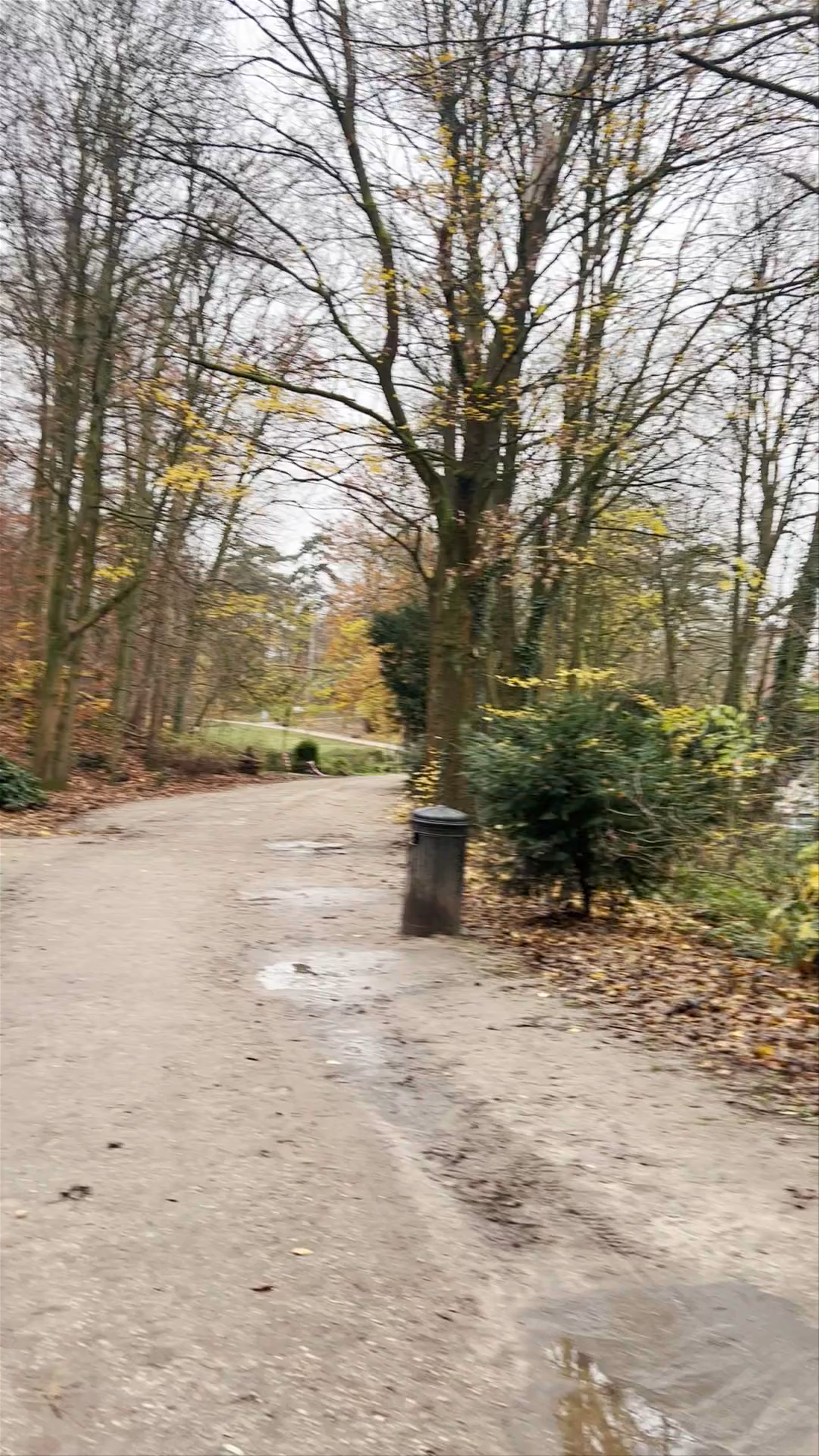 Autumn Serenity at Parc de Wolvendael, Uccle