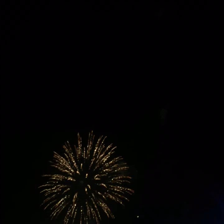 Blackheath - Blackheath fireworks! - Parks Near Me - London, XGL