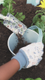 Little Dutch Insectenpotje - Fairy Garden video - thumbnail