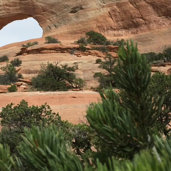 Kokopelli Lodgings - Love this place - Hotels Near Me - Moab, Utah