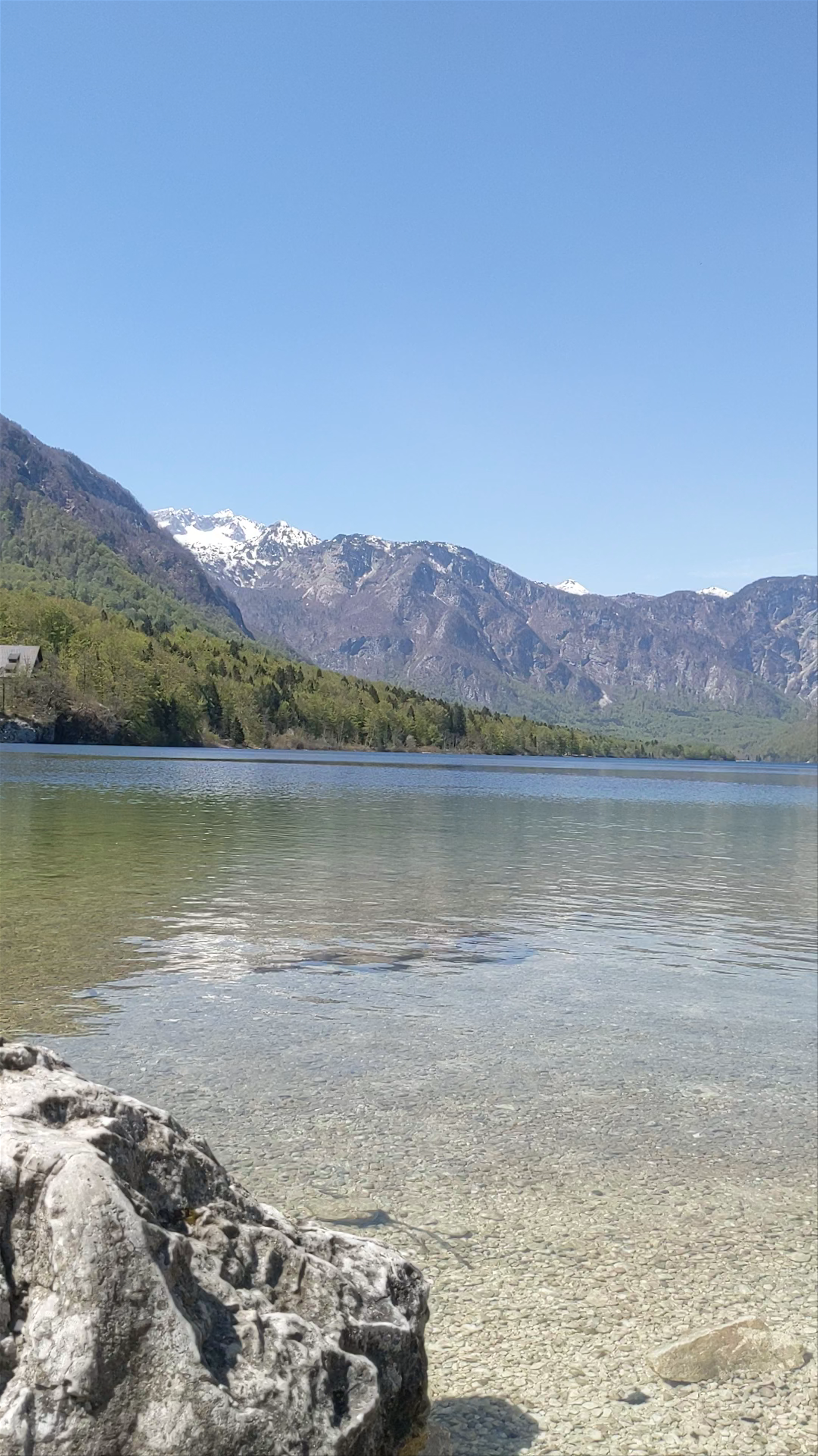 Bohinjsko jezero: Serene Alpine Escape in Slovenia