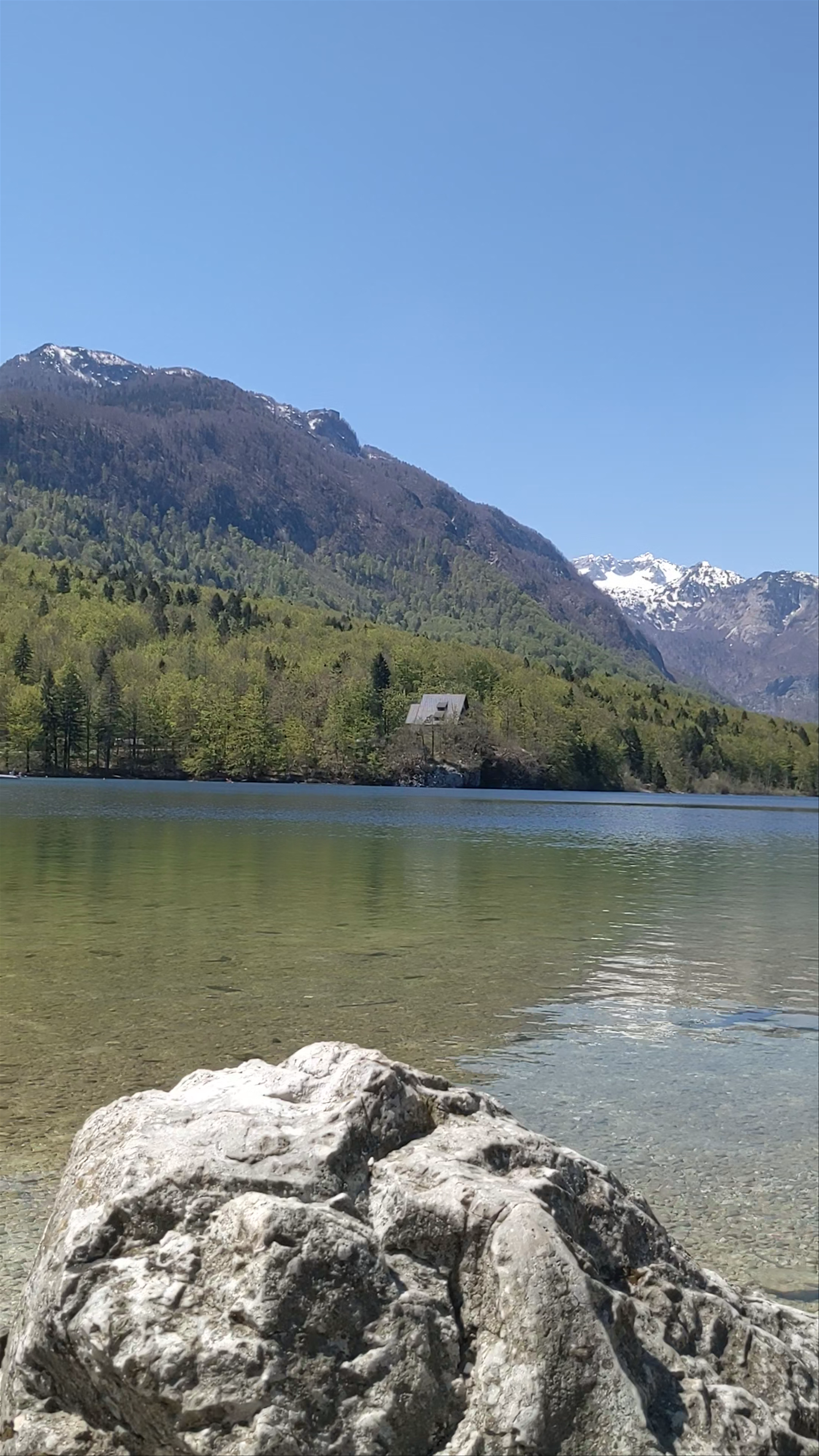 Bohinjsko jezero