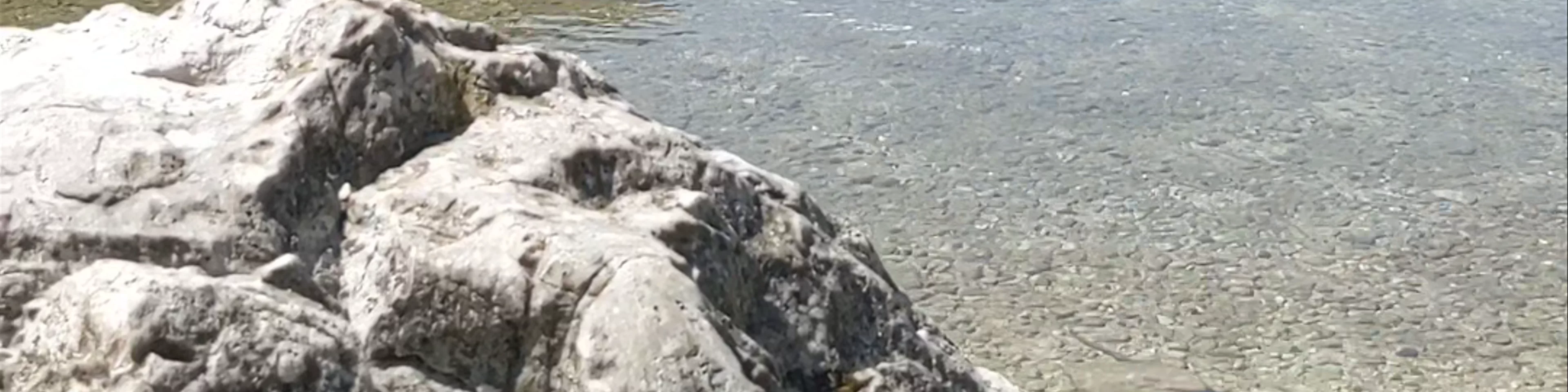 Bohinjsko jezero