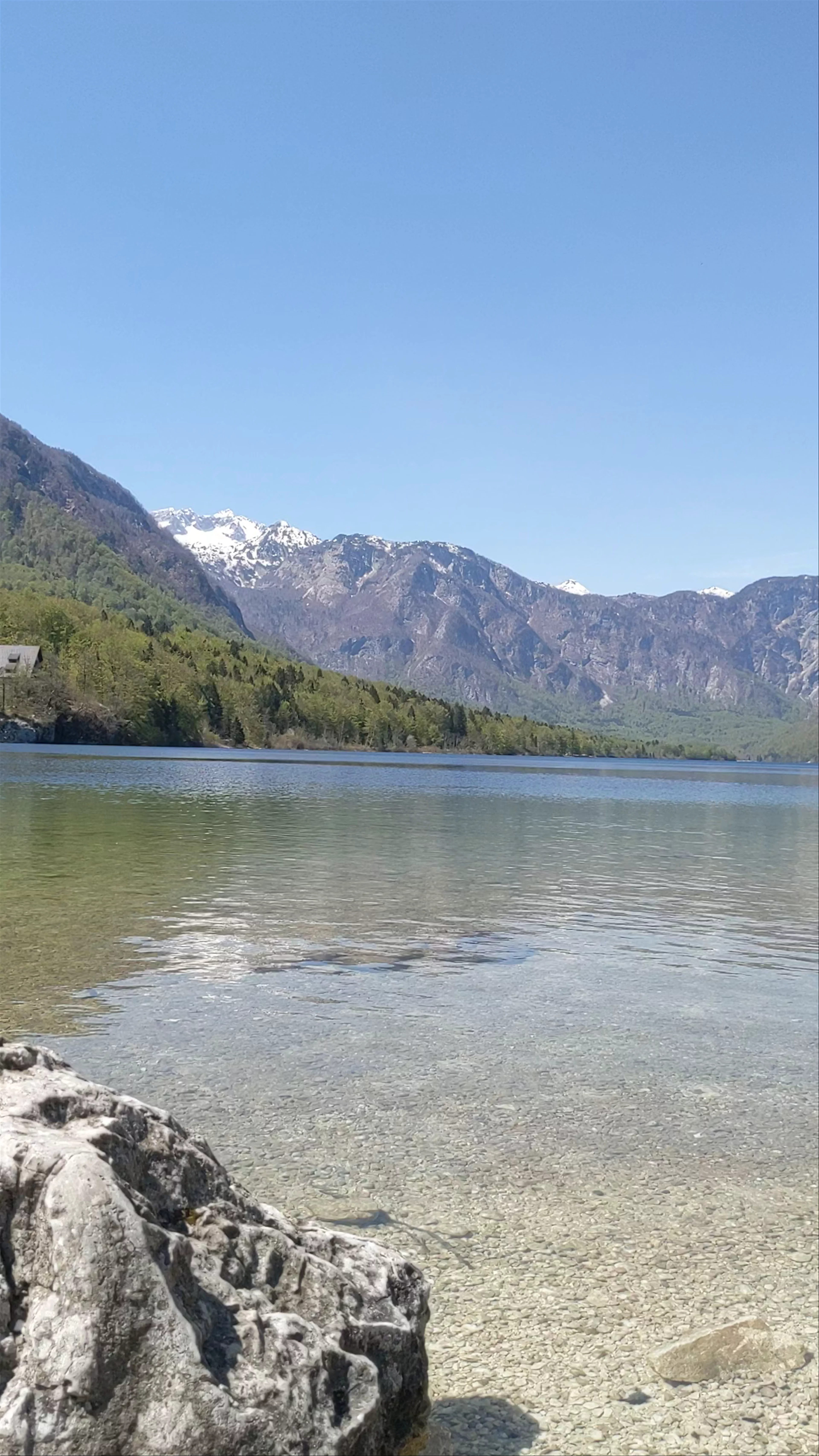 Lake Bohinj