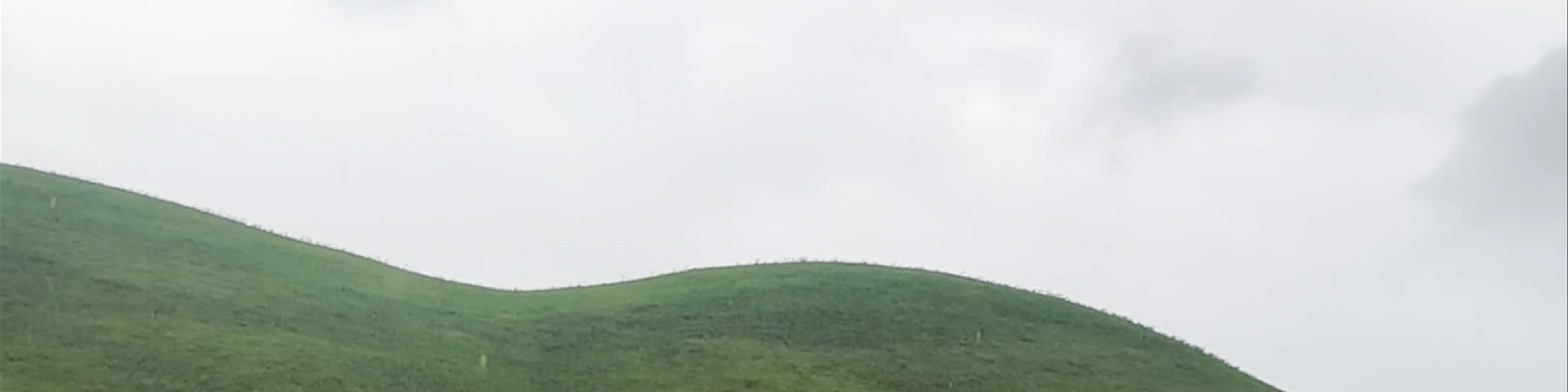 Cheonmachong