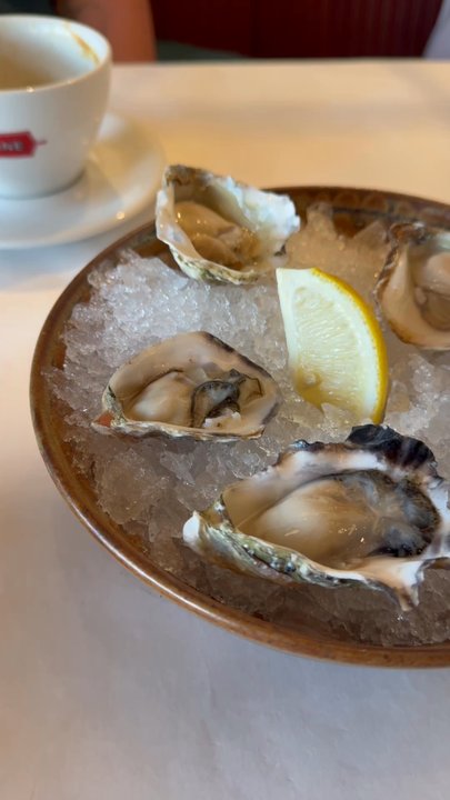 Sardine - Oysters - French Near Me - Madison, Wisconsin
