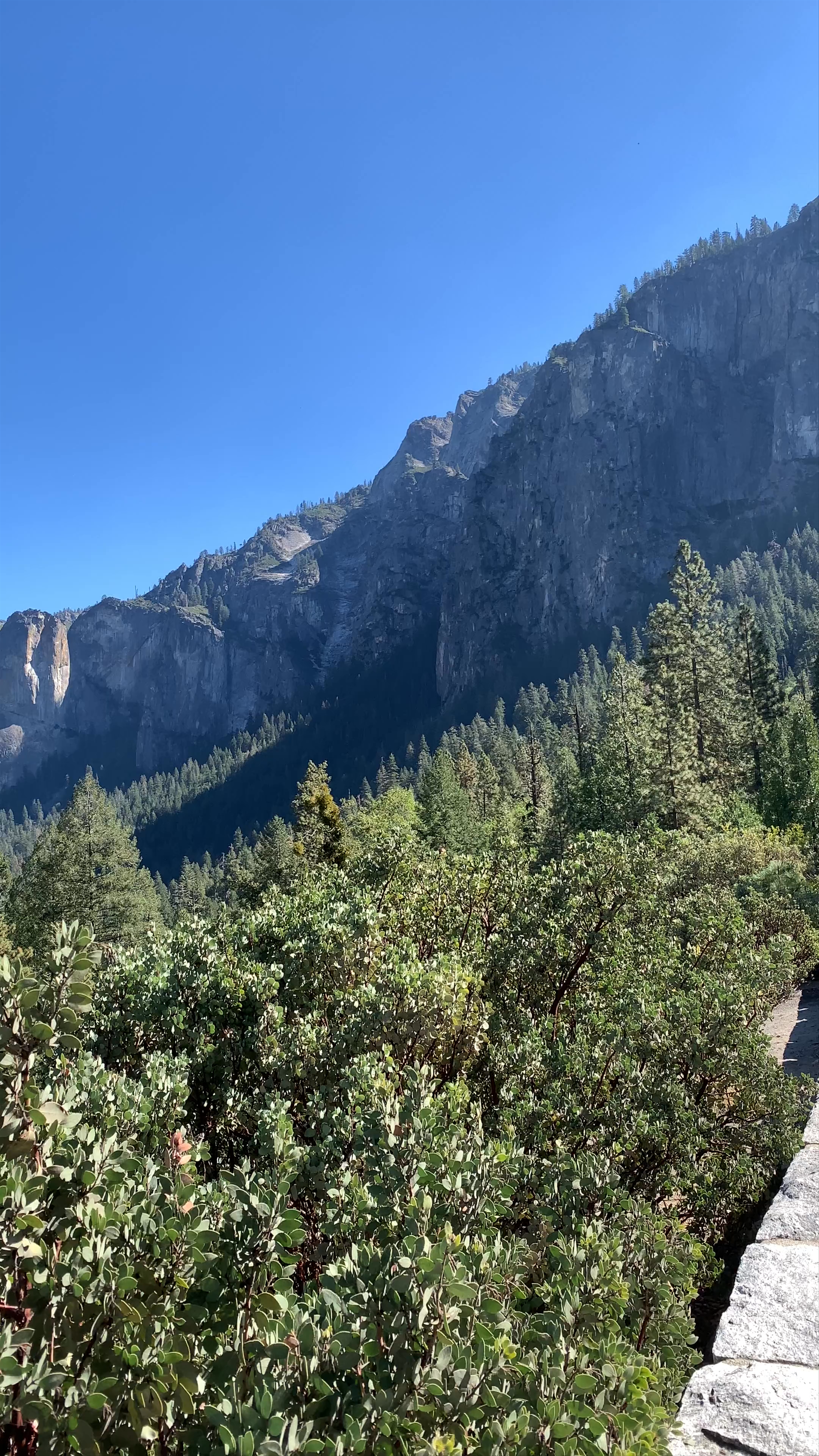 Majestic Yosemite National Park Adventure in California