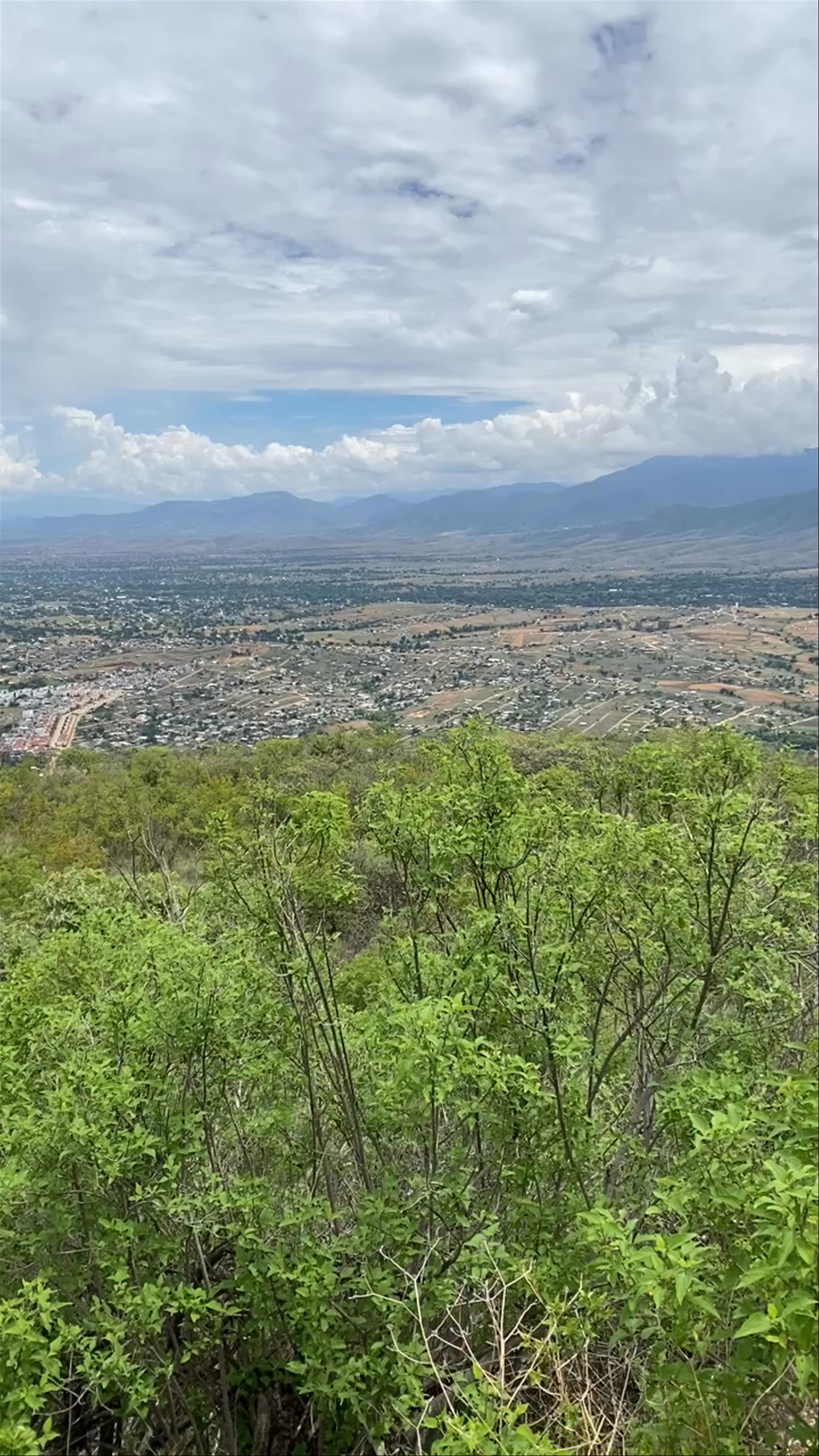 Zona Arqueológica de Monte Albán