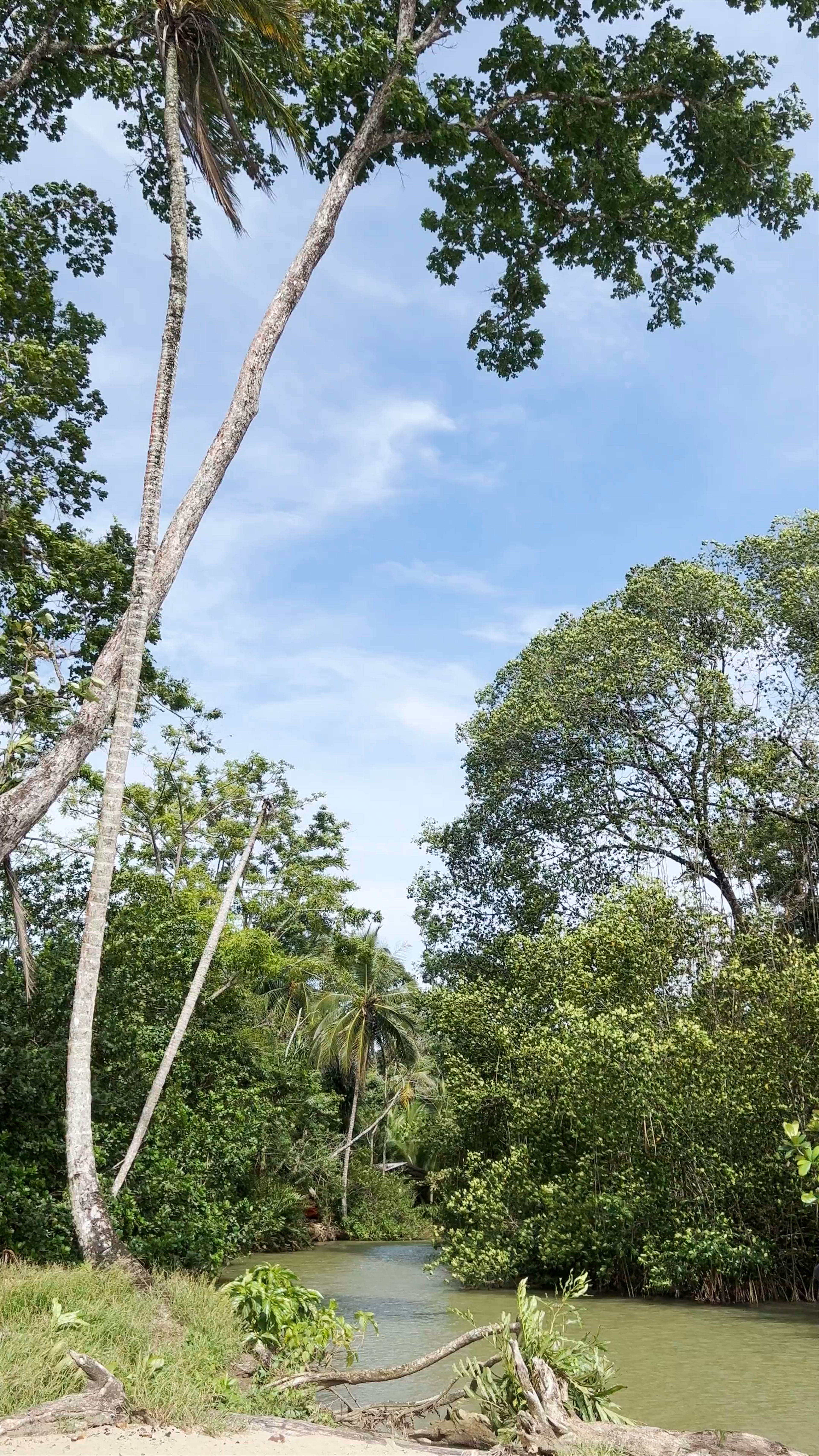 Pachos Place Kayak and Surfing Adventure in Punta Uva, Costa Rica
