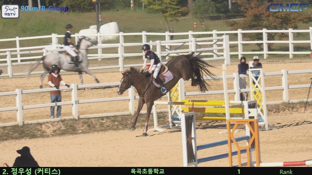 정우성1 (커티스) — 2026 경북오픈 구미 Show Jumping · 장애물 90cm
