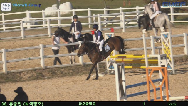 류승민 (녹색창조) — 2026 경북오픈 구미 Show Jumping · 장애물 90cm