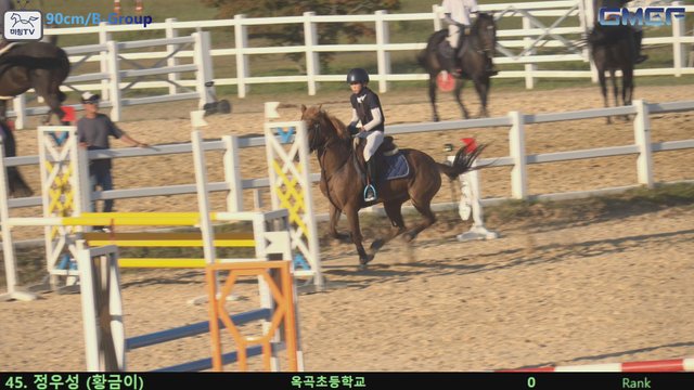 정우성1 (황금제왕) — 2026 경북오픈 구미 Show Jumping · 장애물 90cm