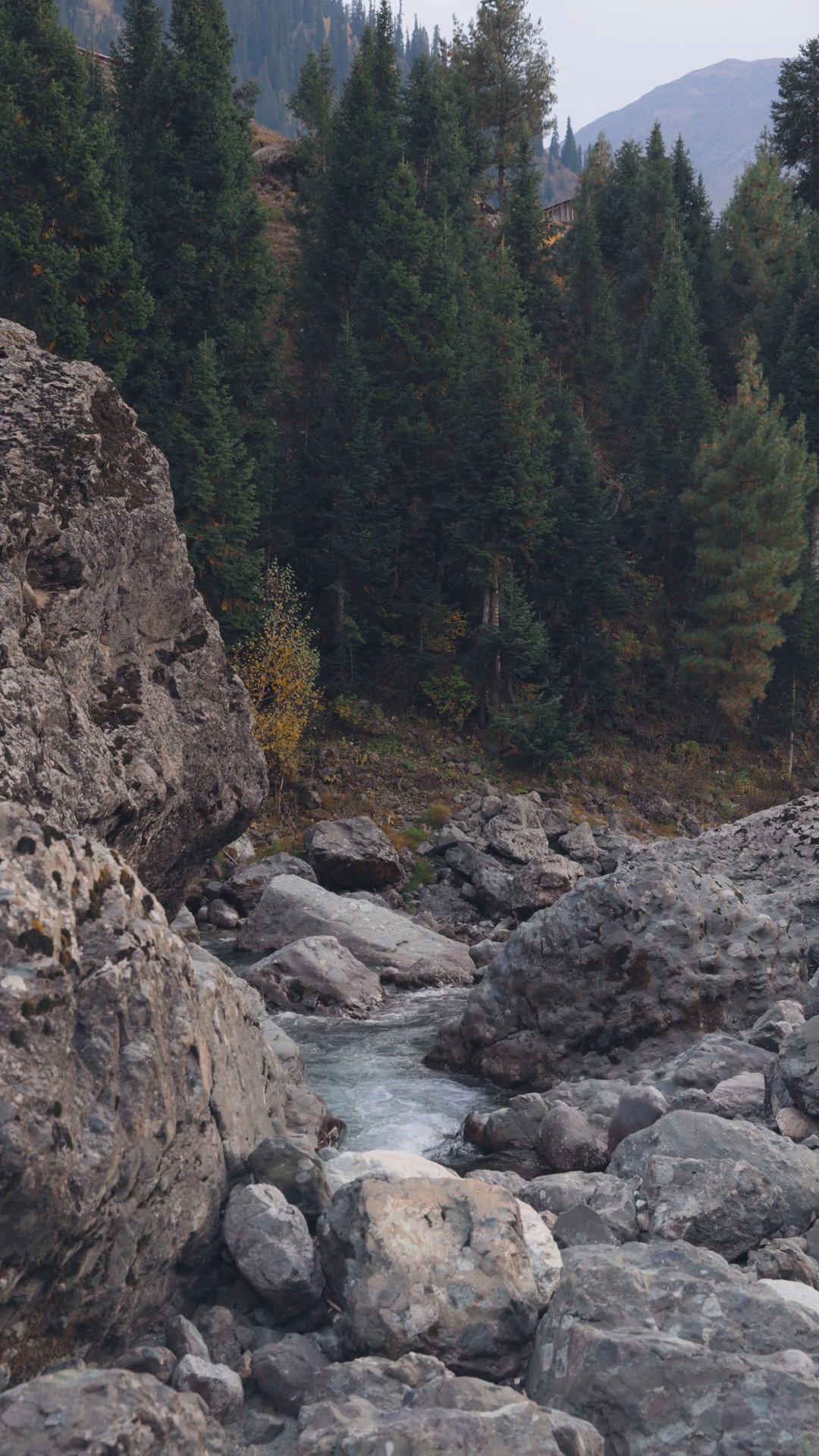 Genesis 6:9 - Walked with God thumbnail