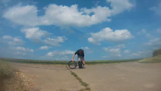 post: new variant of branch flip