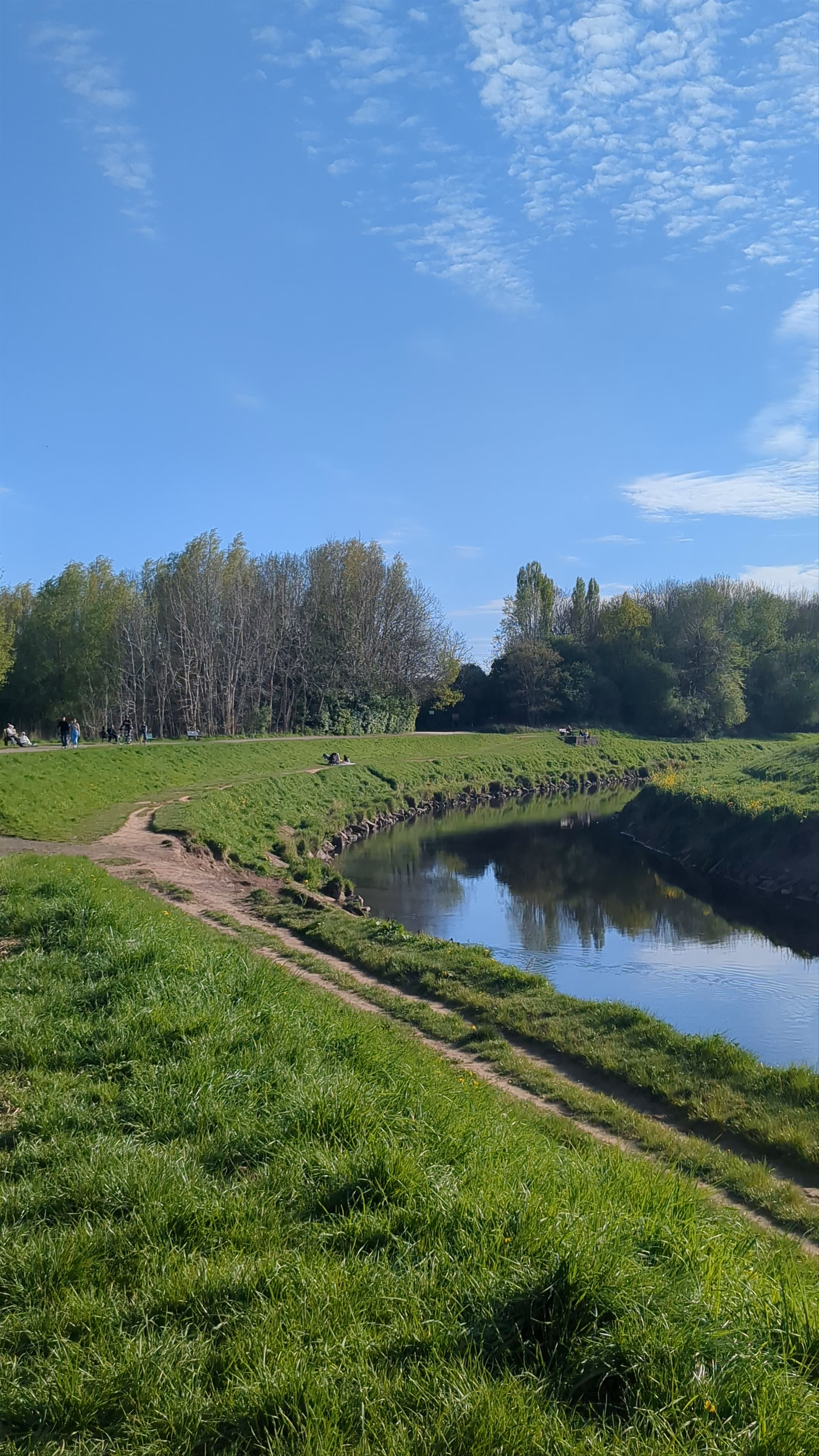 Fletcher Moss Botanical Gardens
