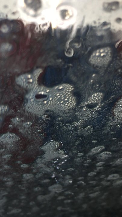 Happy Hippo - Awesome carwash! - Car Wash Near Me - Cedar Falls, Iowa