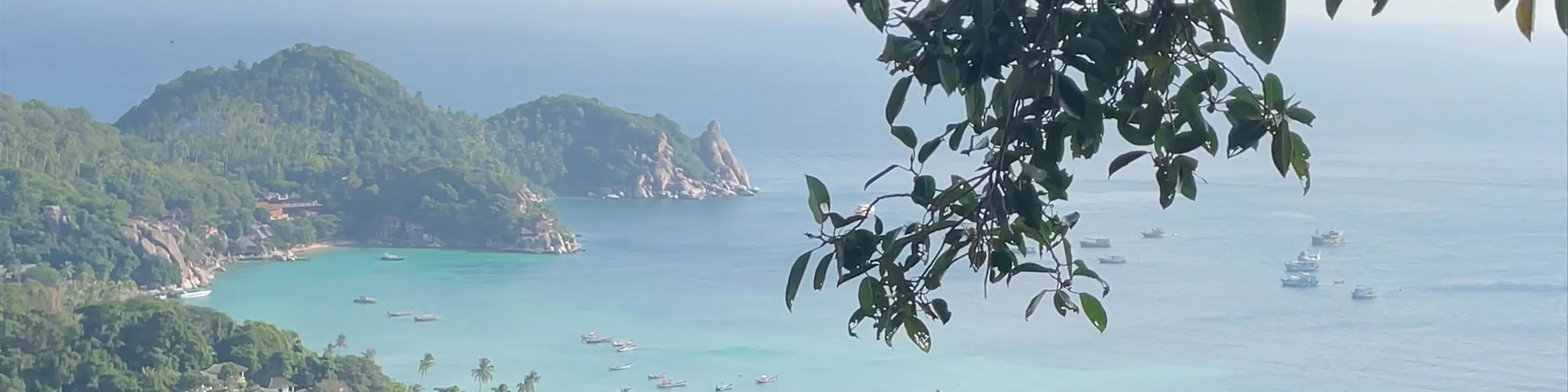 High the moon koh tao Ko Tao