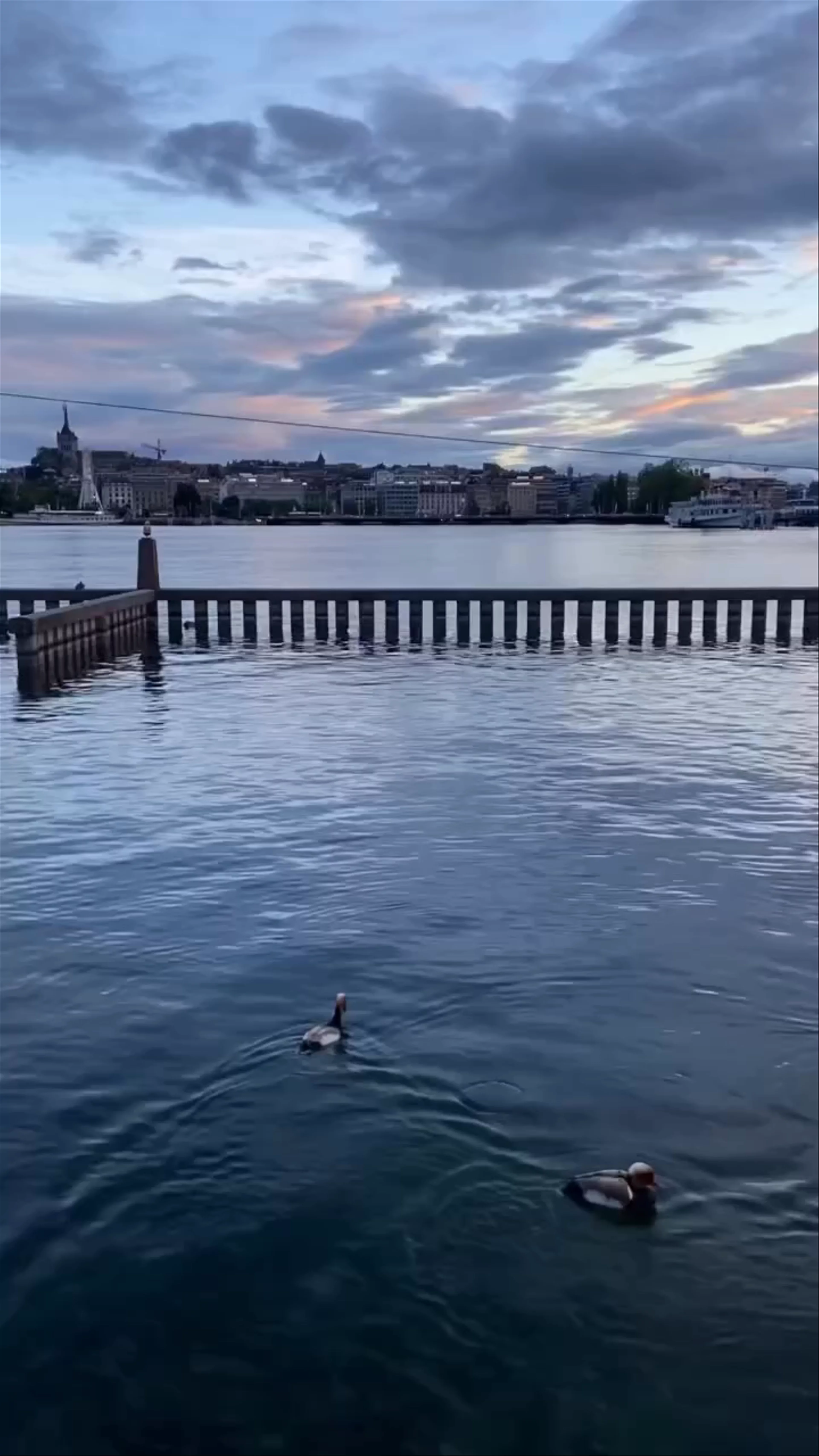 Bains des Pâquis