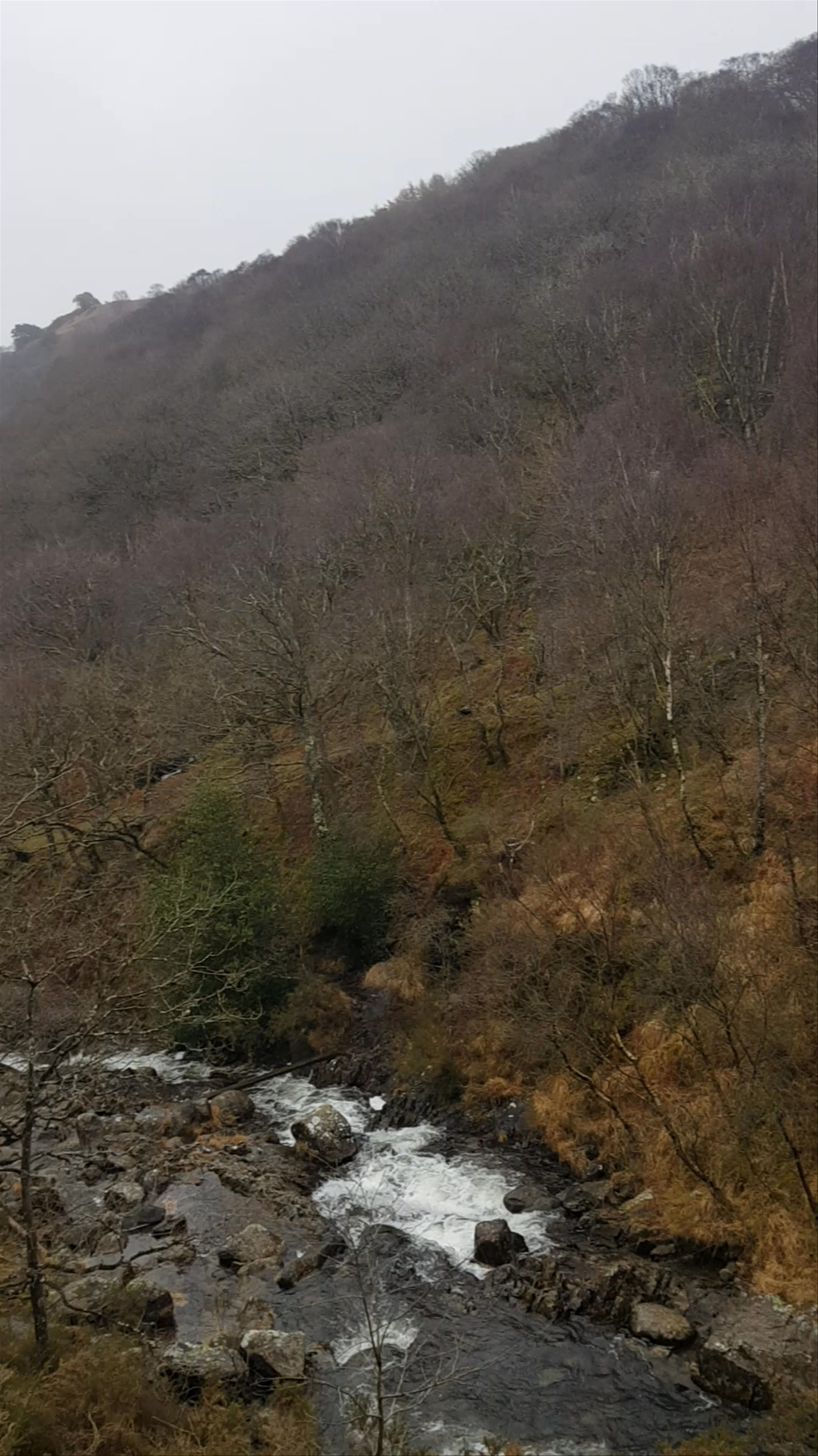 River Geirionydd