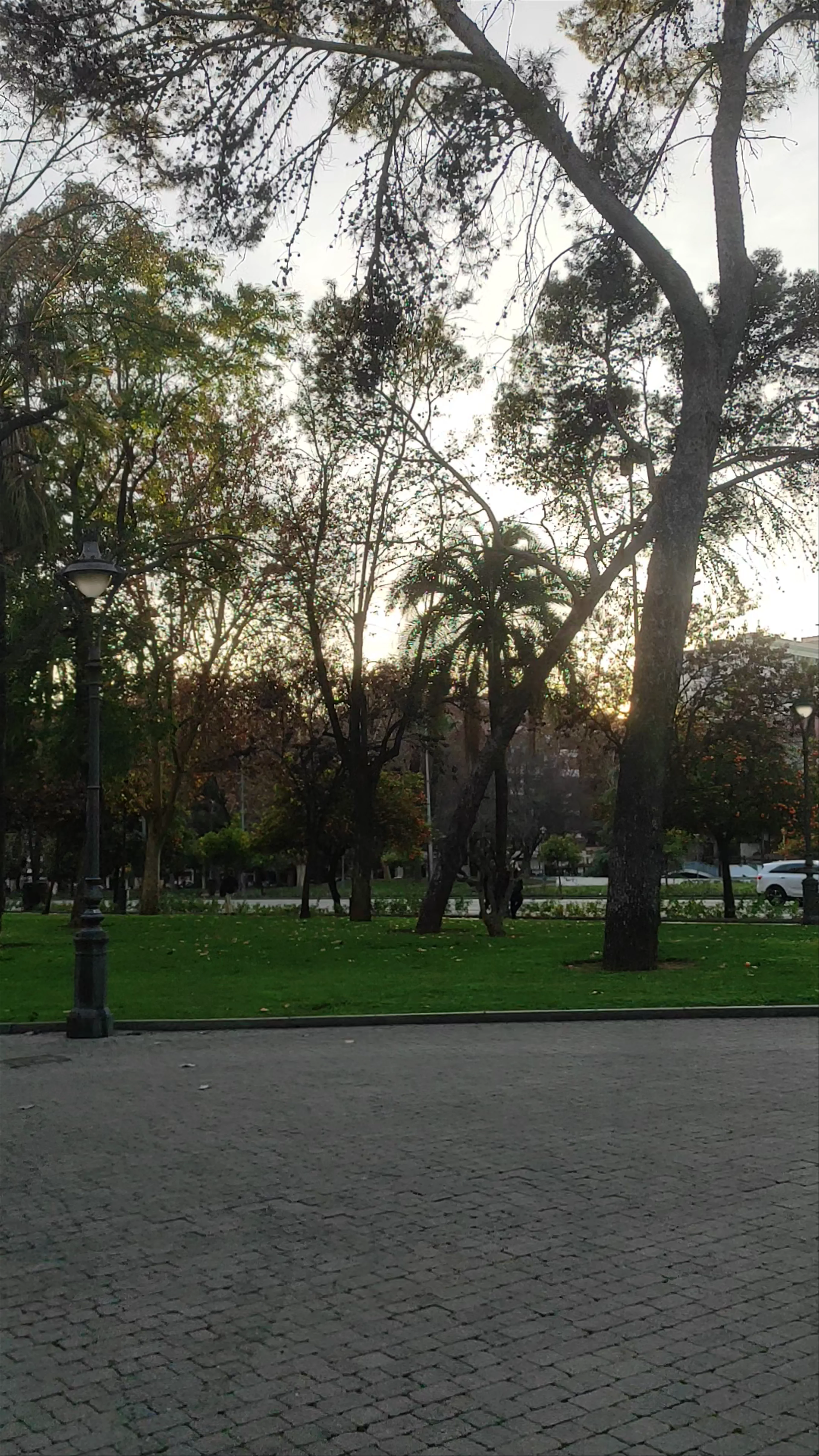 Jardines de Vallellano