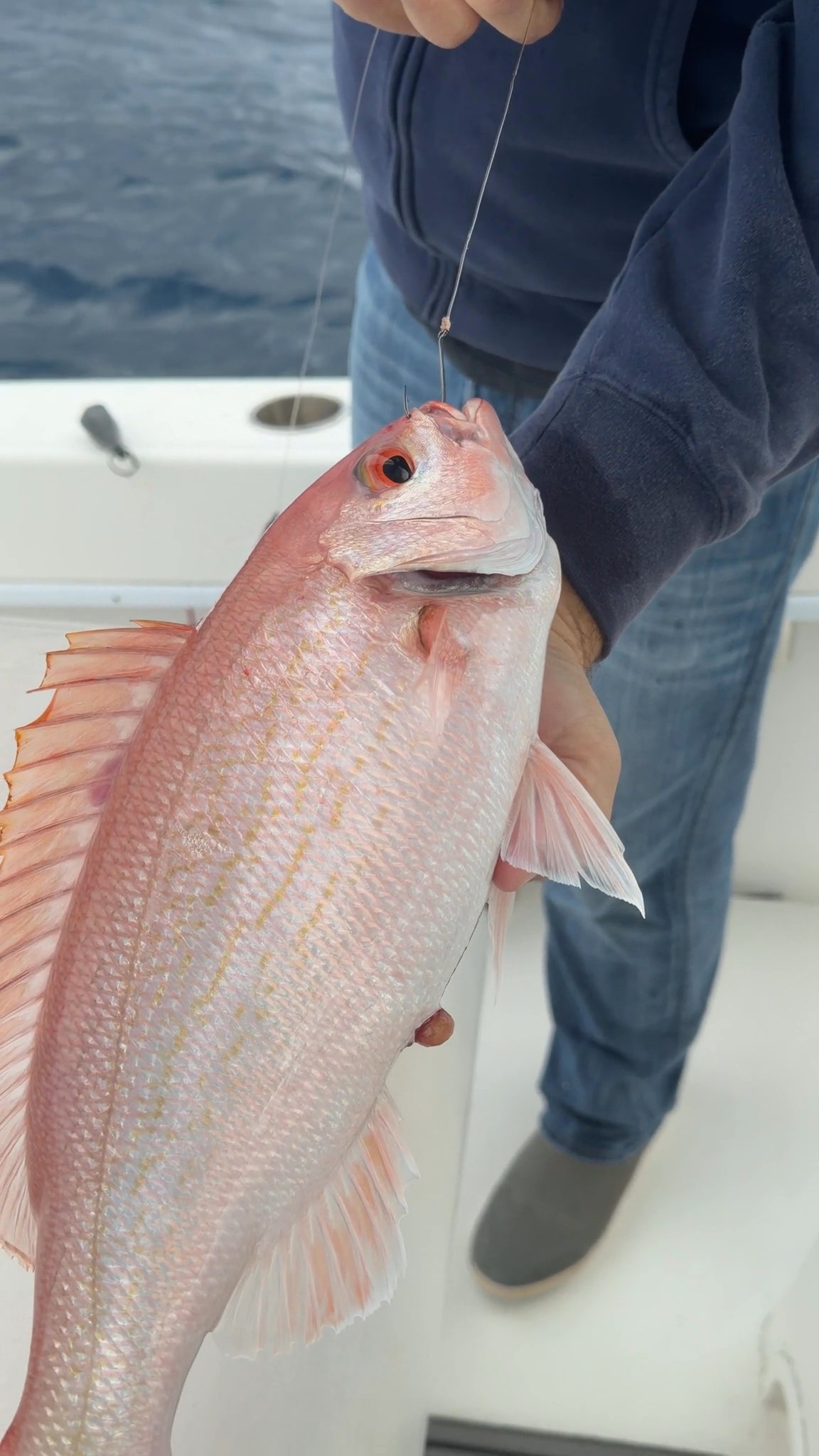 The ocean finally calmed down yesterday for a quic...