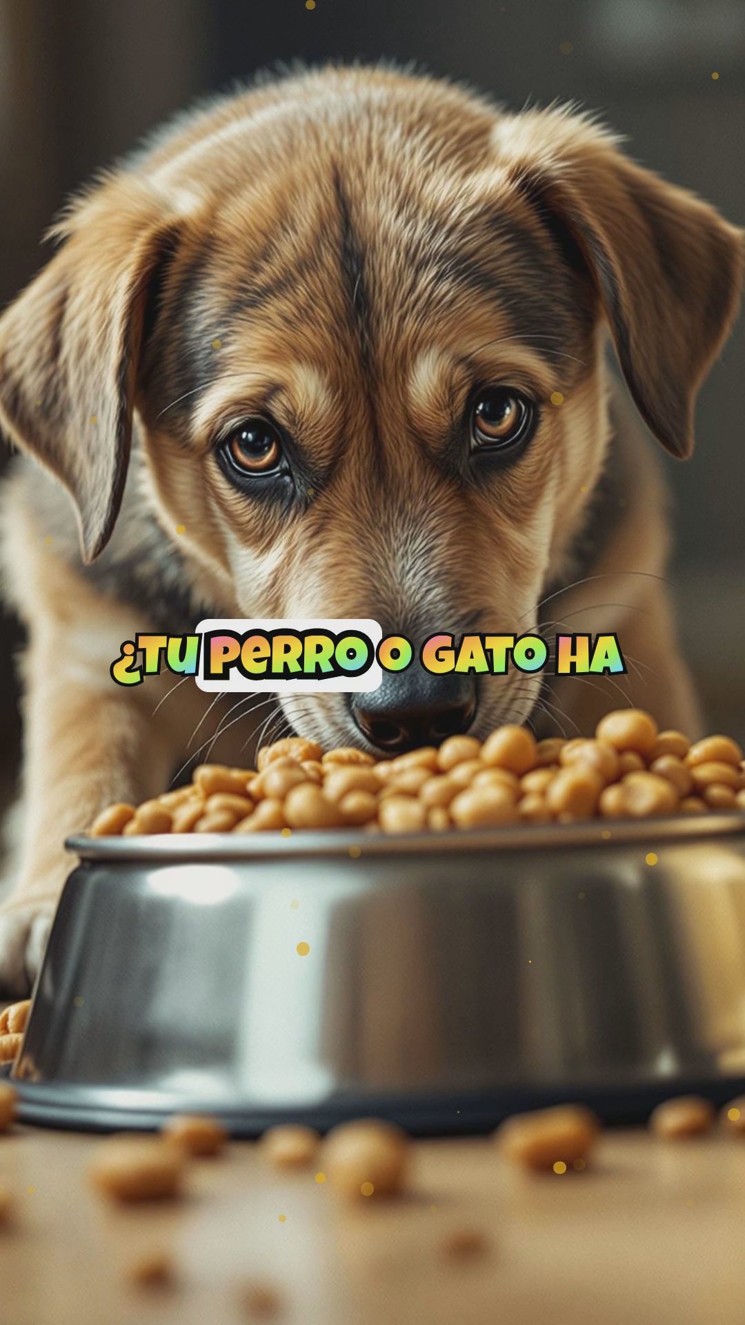 Cómo detectar enfermedades contagiosas en perros y gatos