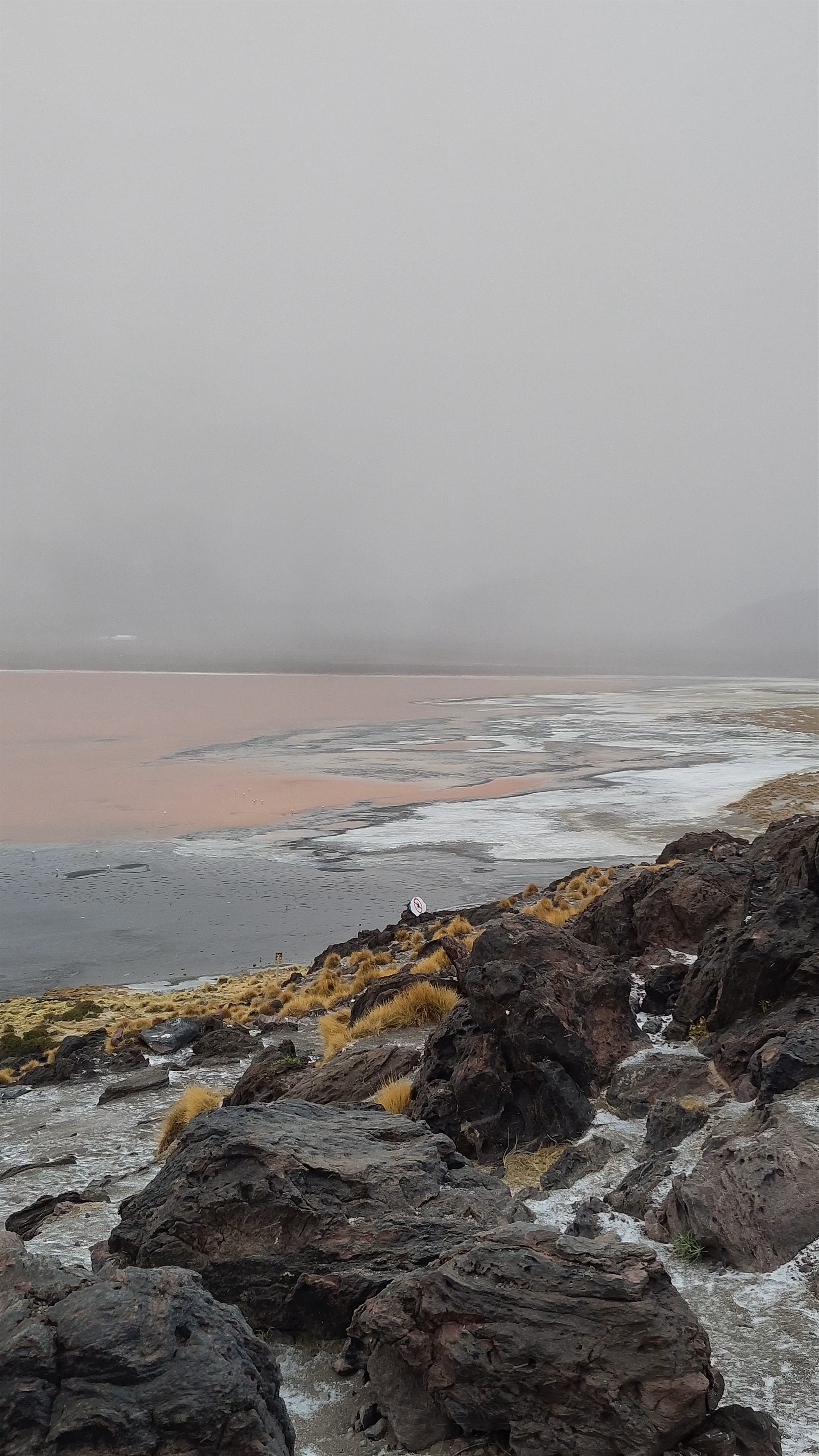 Laguna Colorada