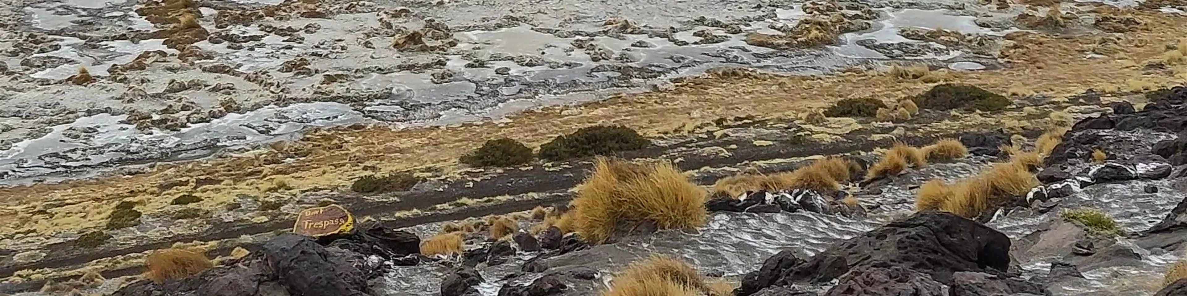 Laguna Colorada