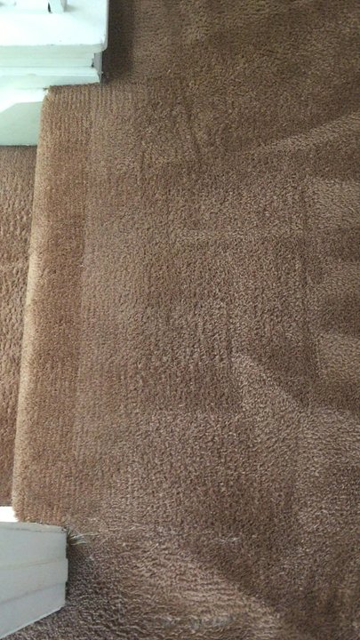 Valley Carpet Repair - Patched and cleaned from cat scratching the corner of the stairs. - Carpet Installation Near Me