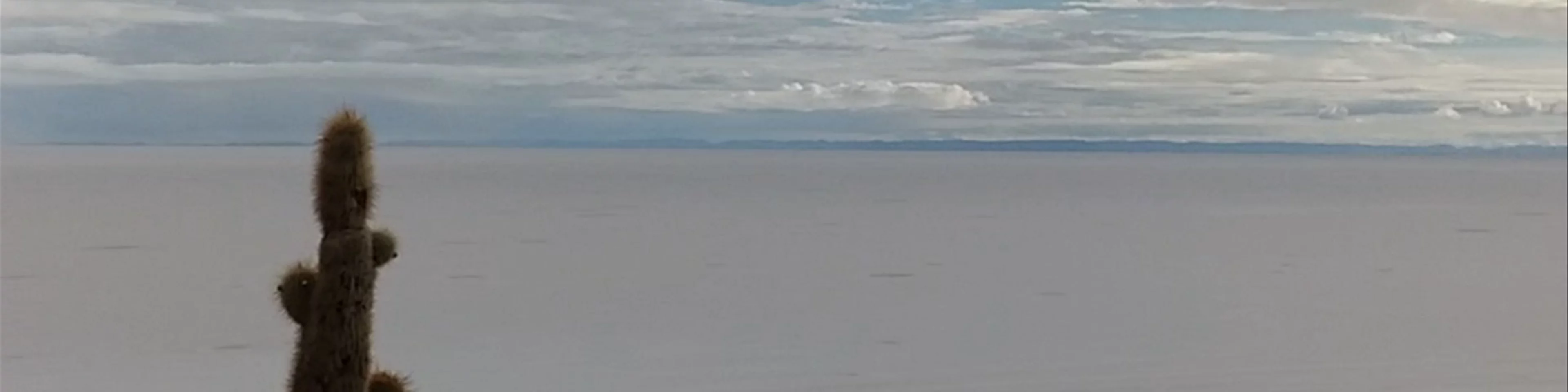 Isla Incahuasi